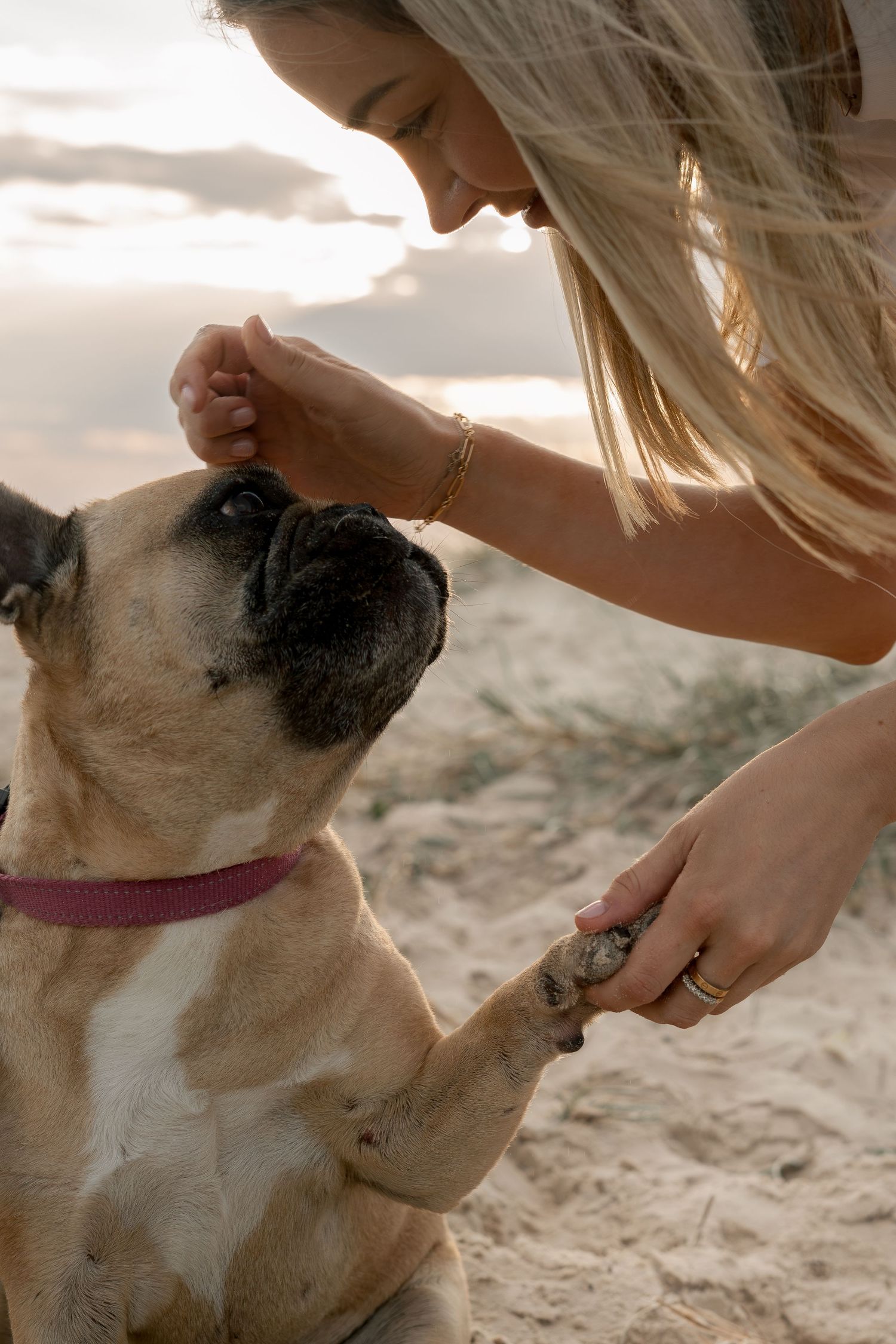 Woman and dog during pet photography session at the Gold Coast
