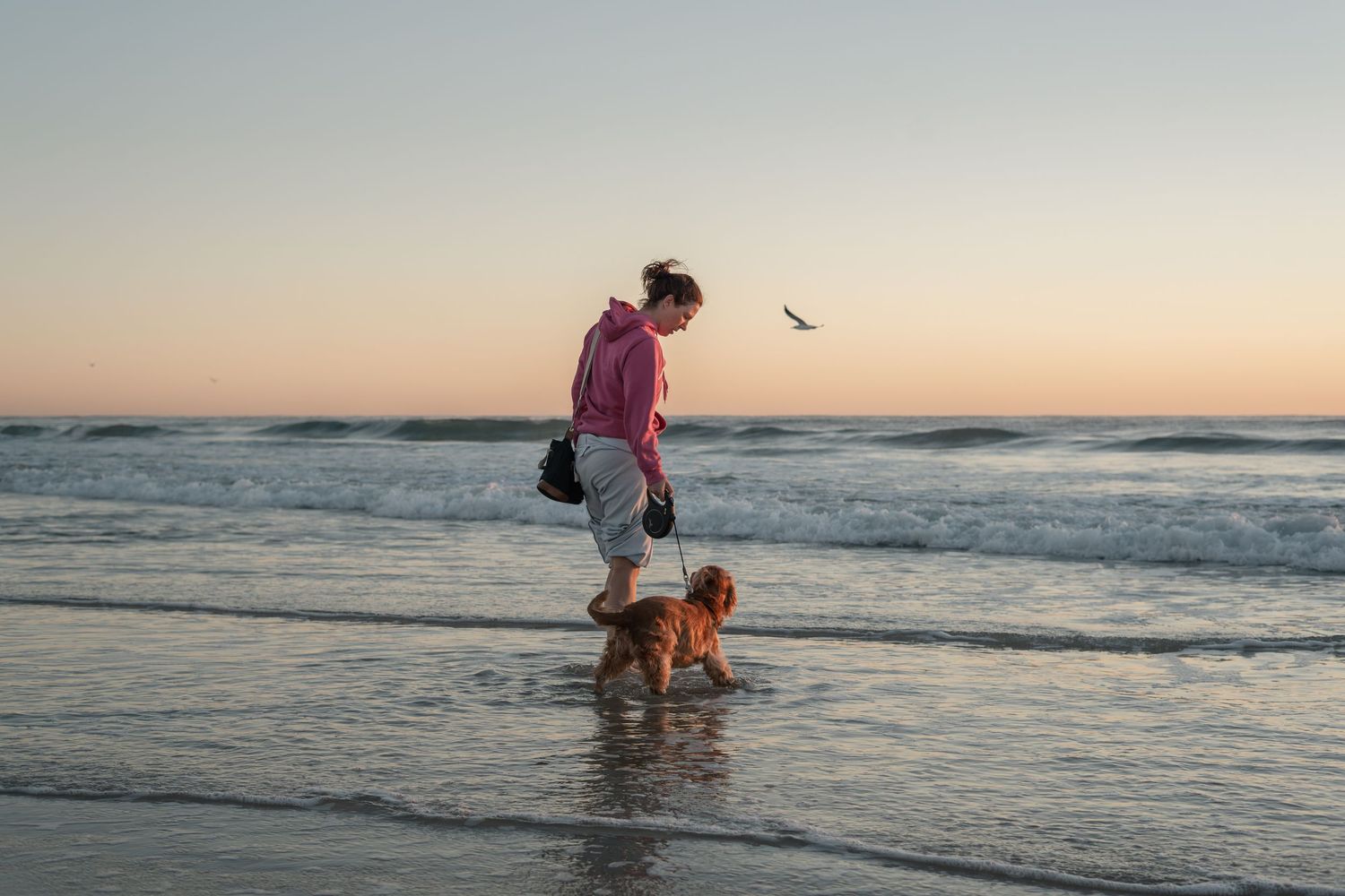 Woman walking her dog on the beach during a natural pet photography session on the Gold Coast