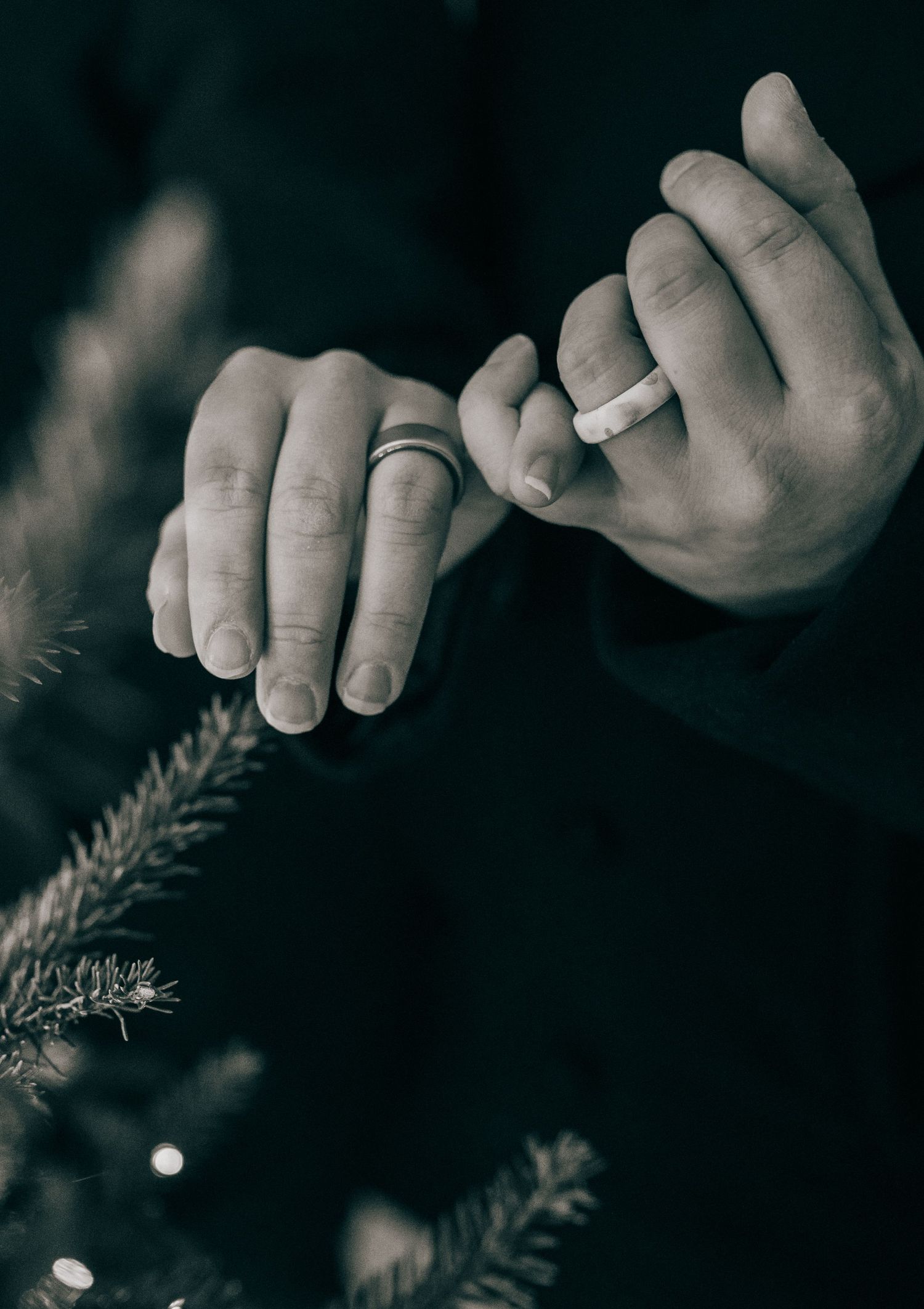 Black and white photo of two hands with wedding rings intertwined near a Christmas tree.
