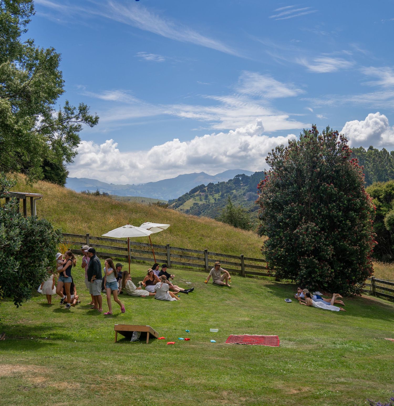 Wedding guests relax on a sunny green hillside with stunning mountain views in the background.