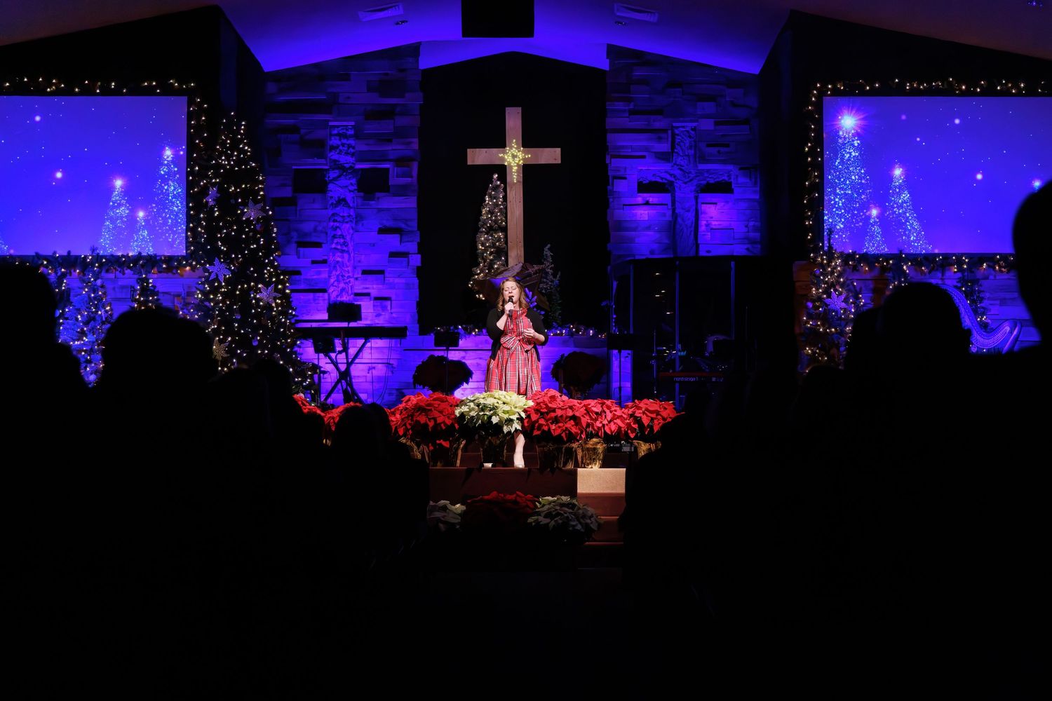 A church sanctuary decorated for Christmas with blue lighting and holiday decorations.