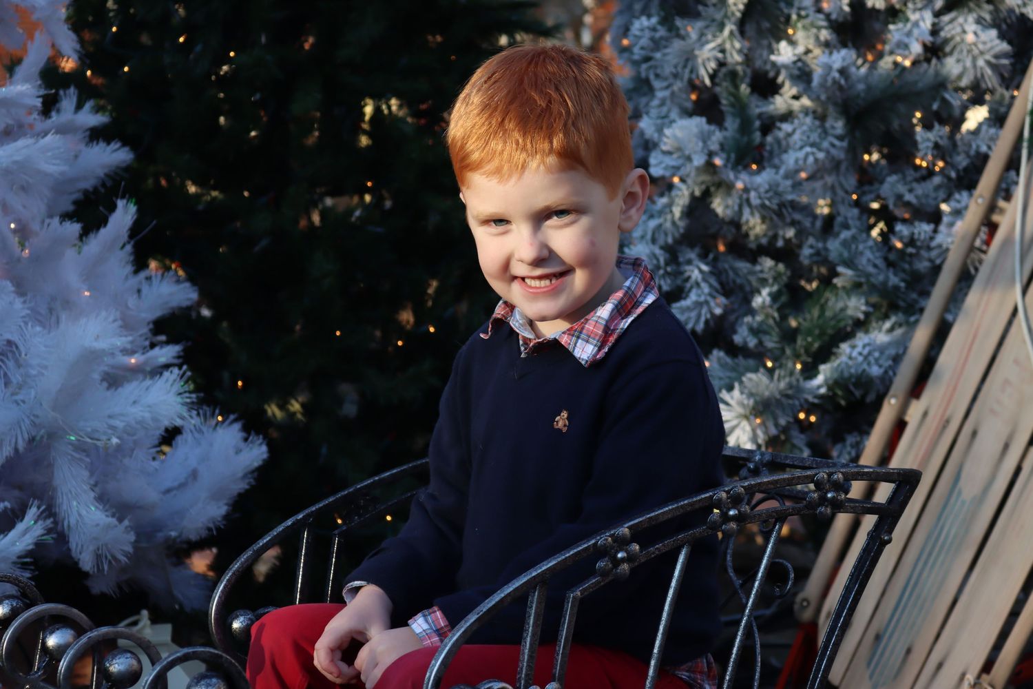 A holiday scene with snow-covered Christmas trees and twinkling lights in the background.