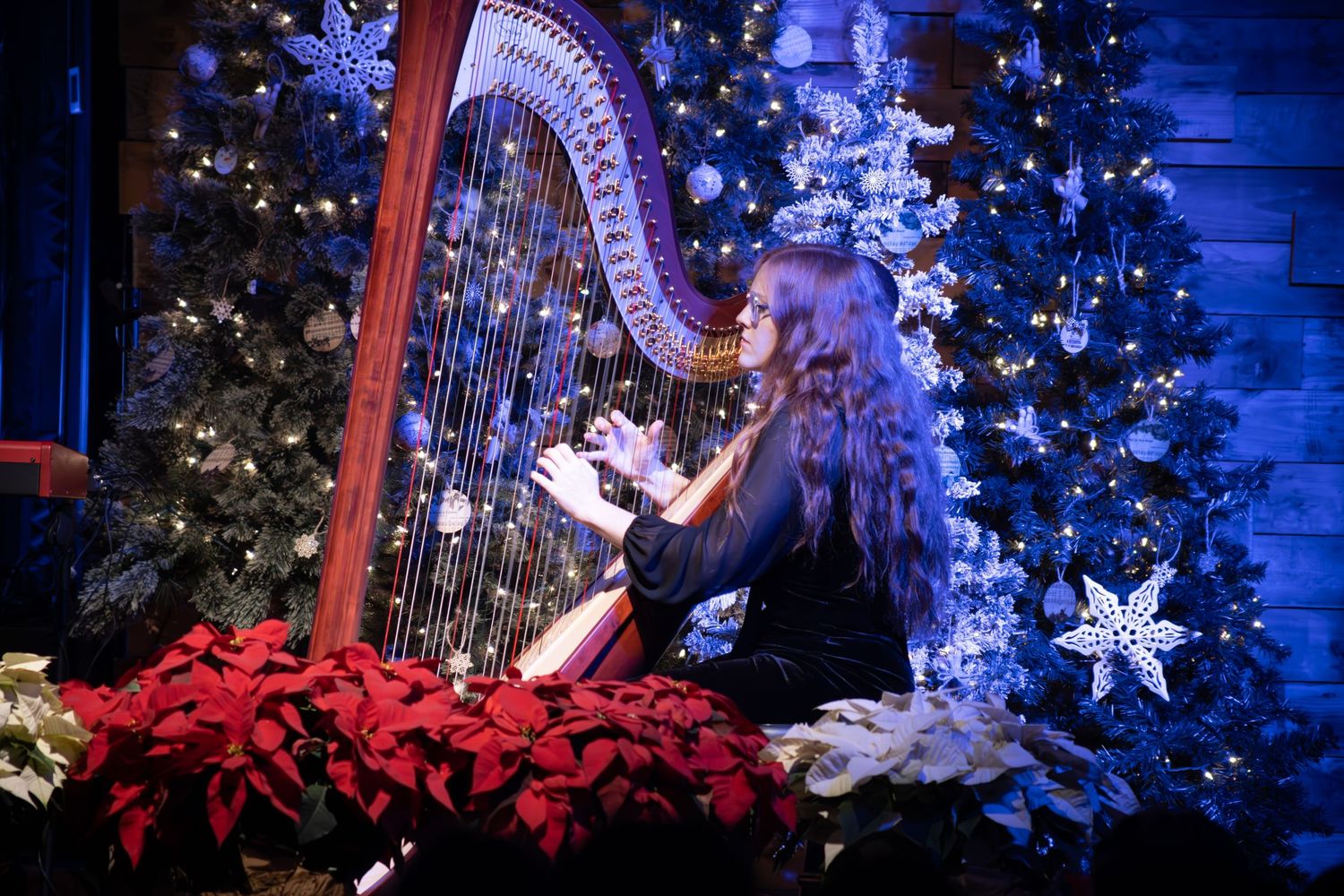 A festive holiday stage setup with blue lighting, white stars, and poinsettia flowers.
