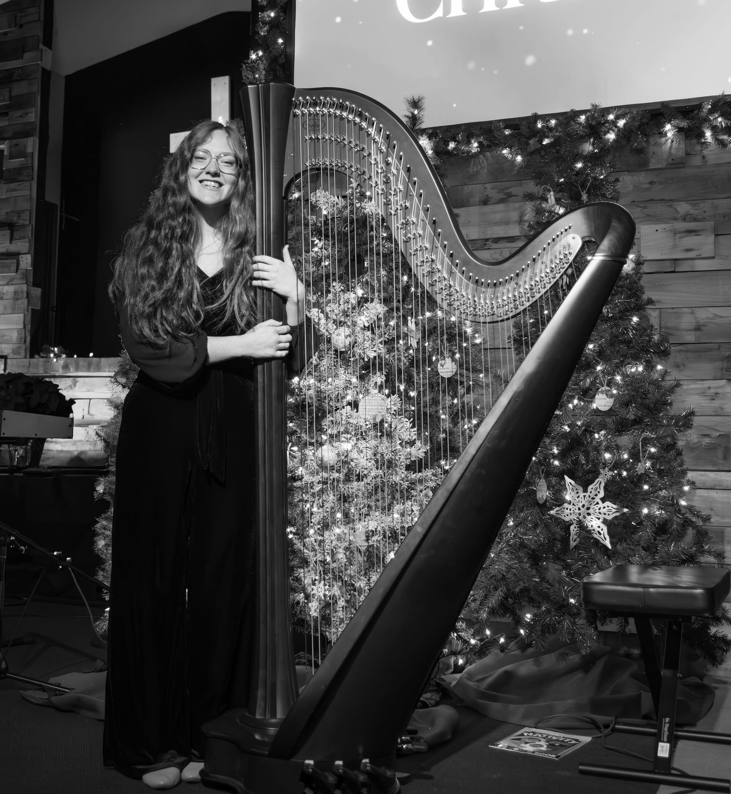 An elegant harp performance setup with Christmas lights and decorative elements.