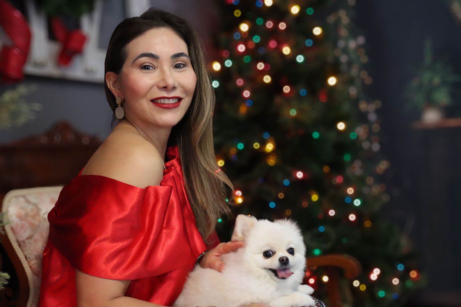 White cat sitting on red couch with Christmas decorations in background.