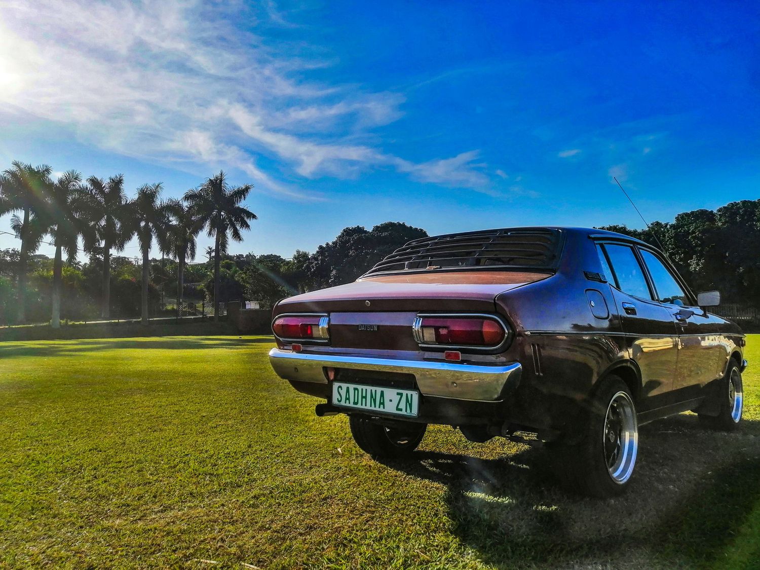Classic black vintage car with chrome accents parked on grass against blue sky with palm trees in background.