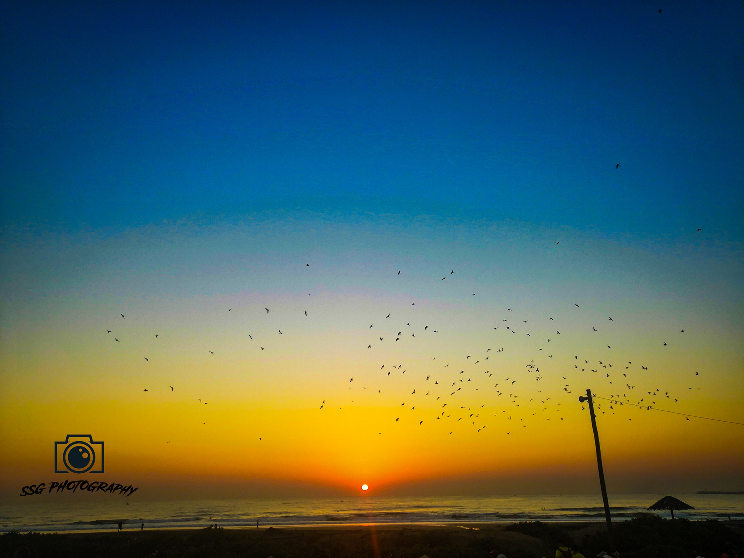 Flock of birds soaring across a vibrant orange and blue sunset sky over a silhouetted coastline.