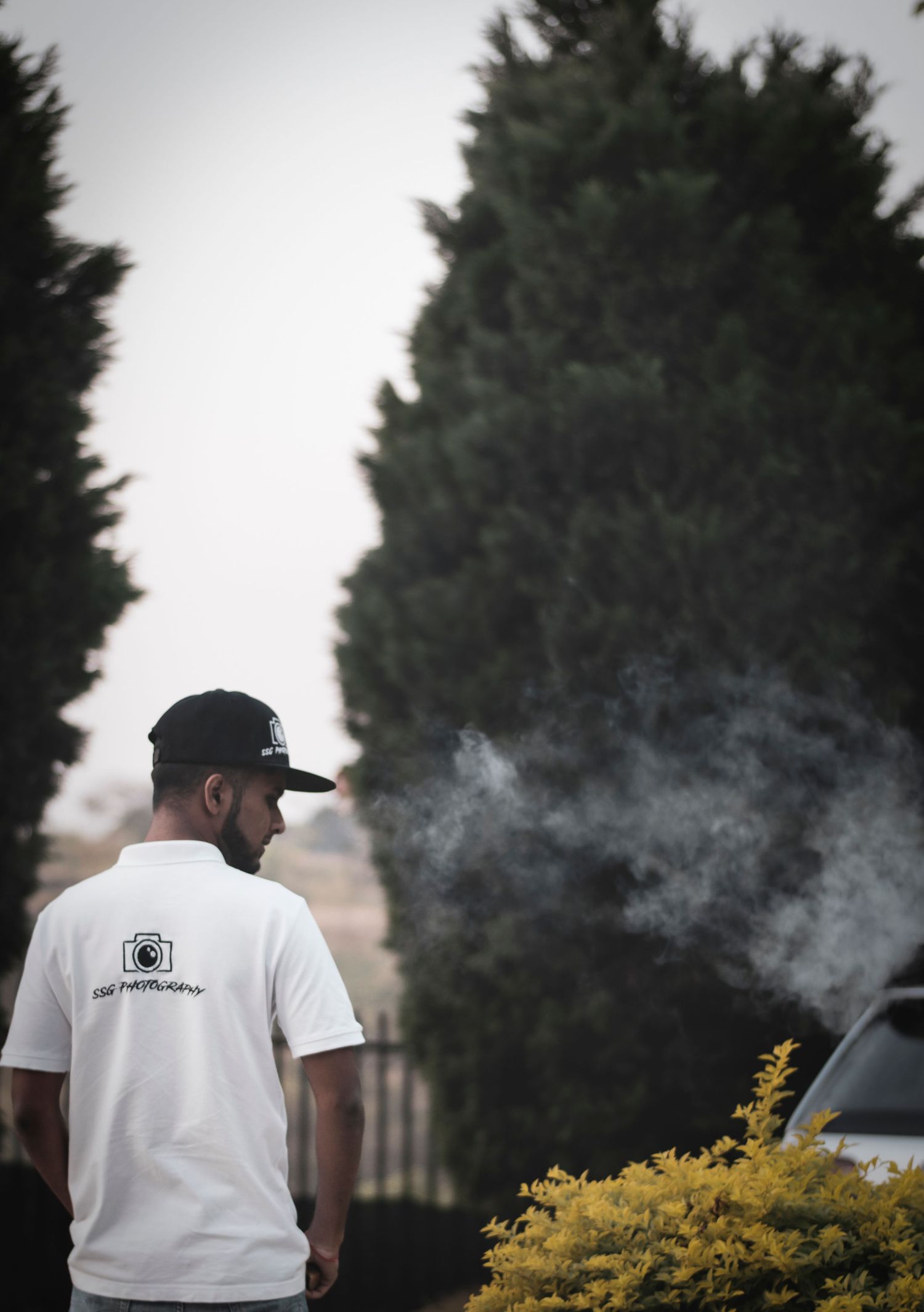 Artistic smoke photography sequence against evergreen trees in black and white tones.