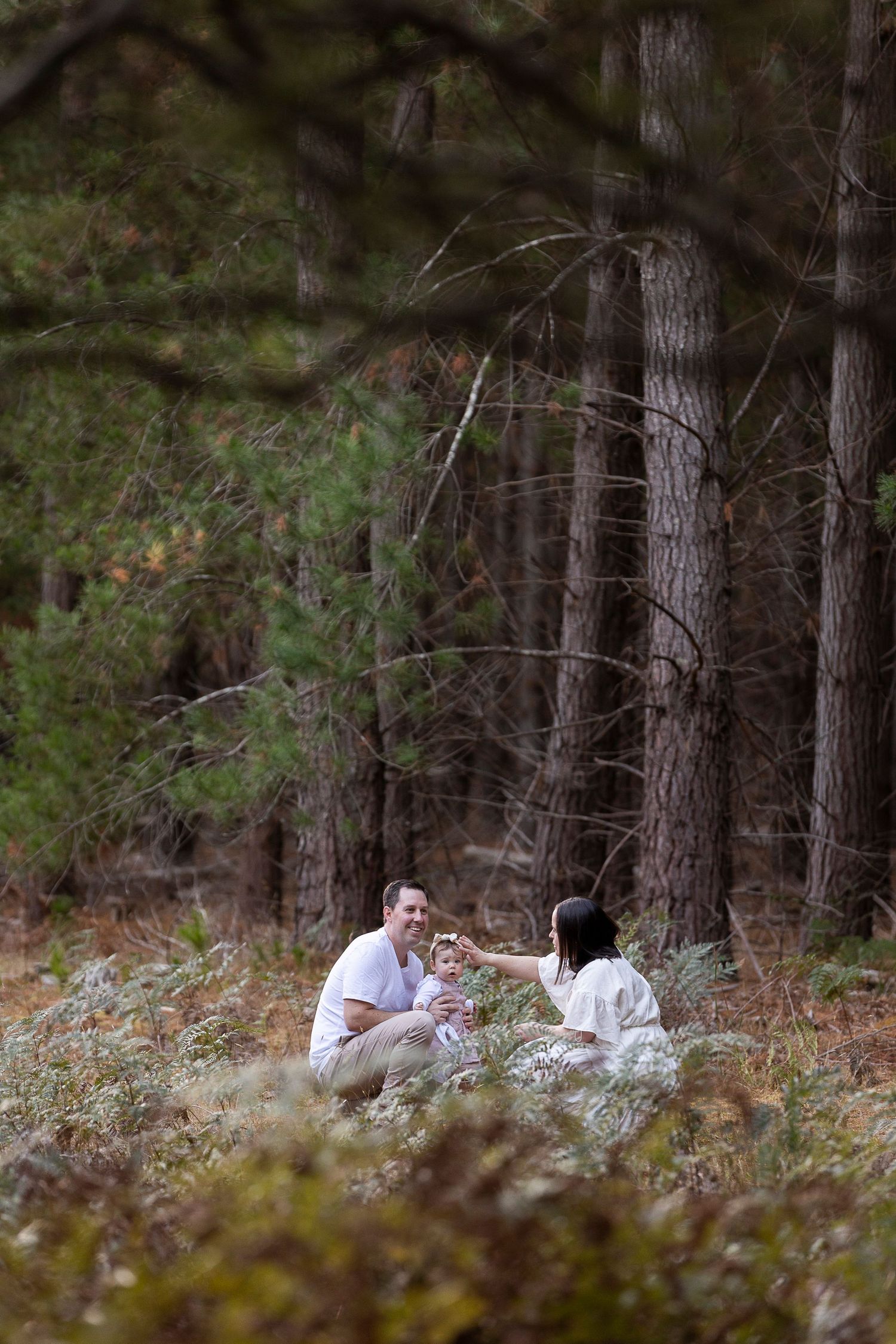 Distant view of people relaxing together in a peaceful pine forest setting.