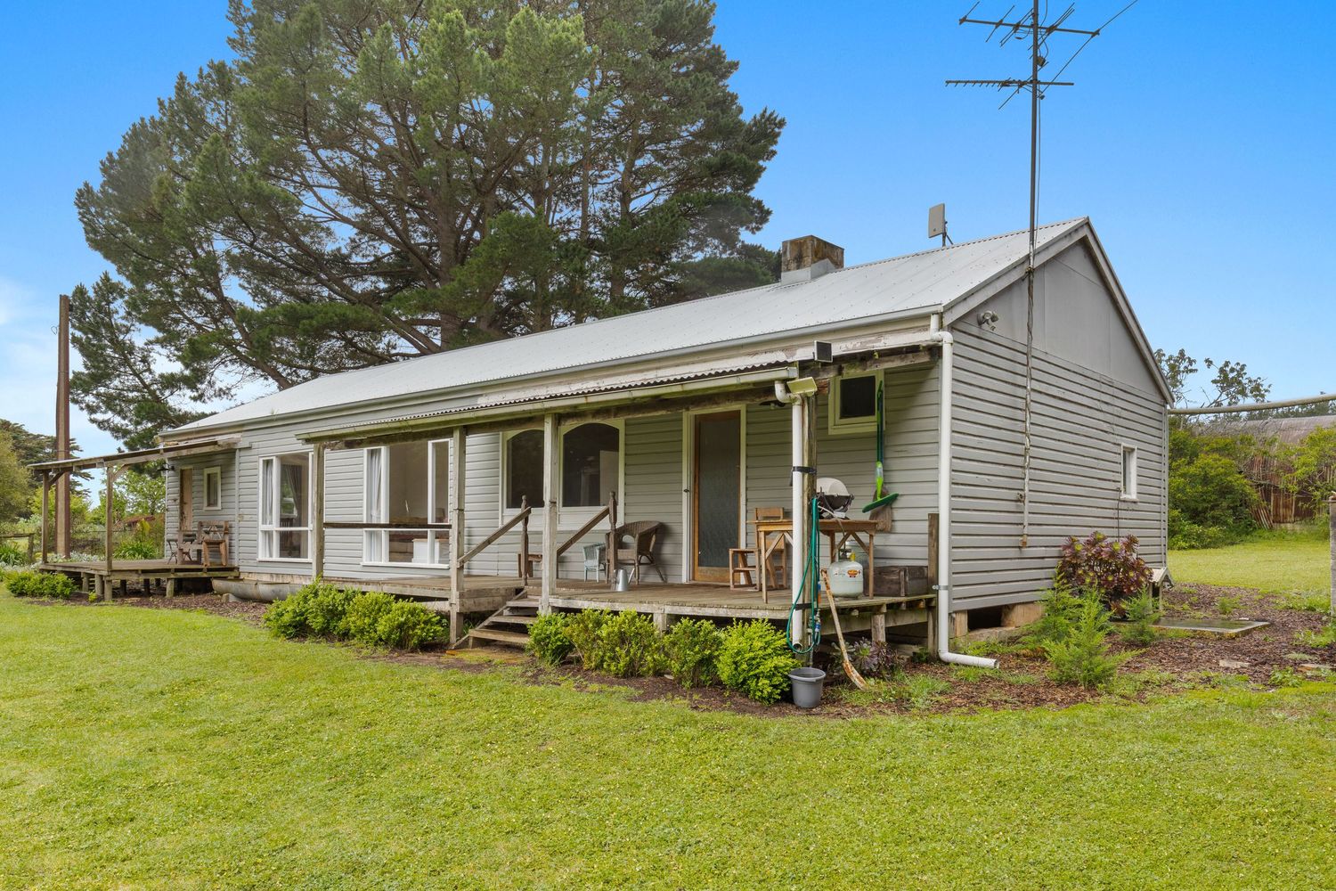 Rural property with weatherboard cottage and green lawn surrounded by pine trees.