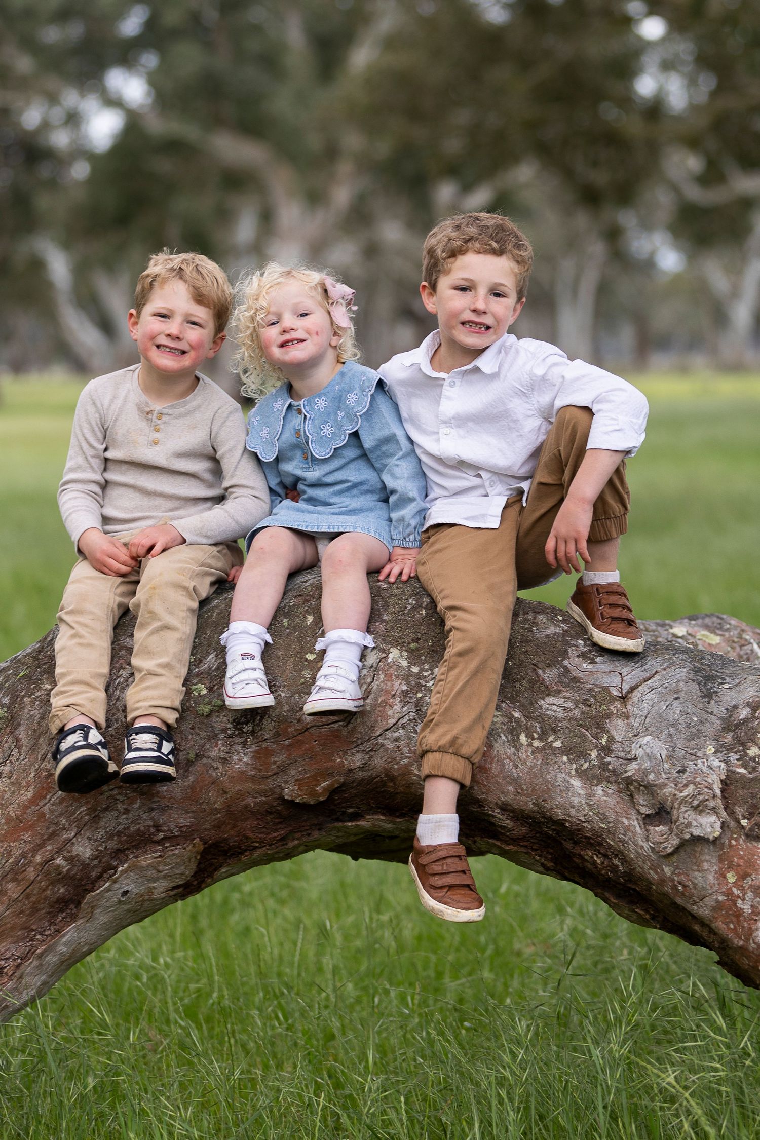 Children sitting together on a curved tree branch in a grassy park.
