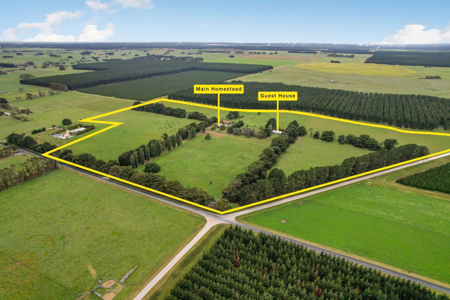 Aerial view of a large rural property with green fields, marked Main Homestead and Guest House, surrounded by farmland and trees.