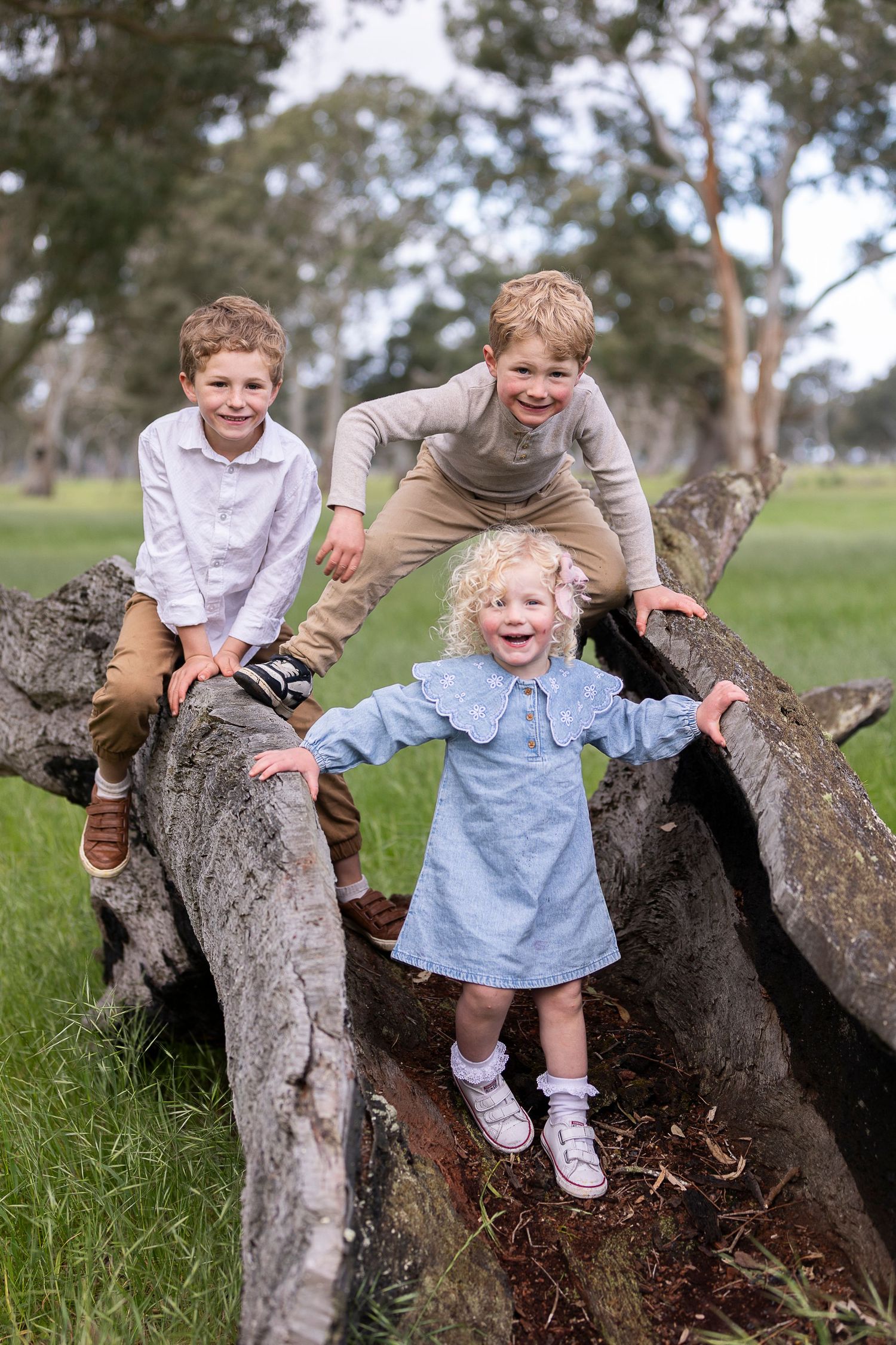 A child playing and laughing on a fallen tree trunk in a grassy field.