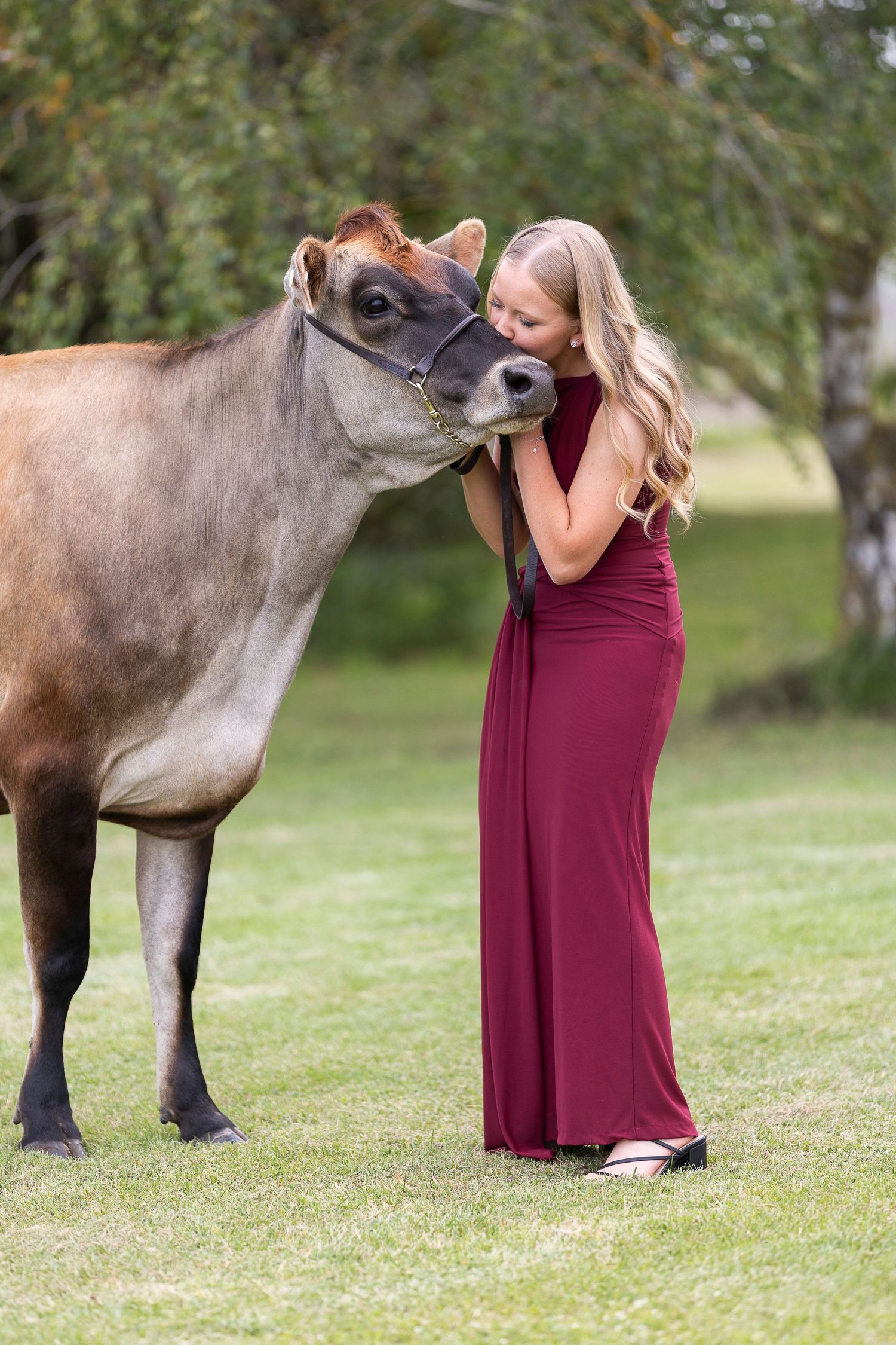 A person in a burgundy dress poses with a friendly cow in a green field.