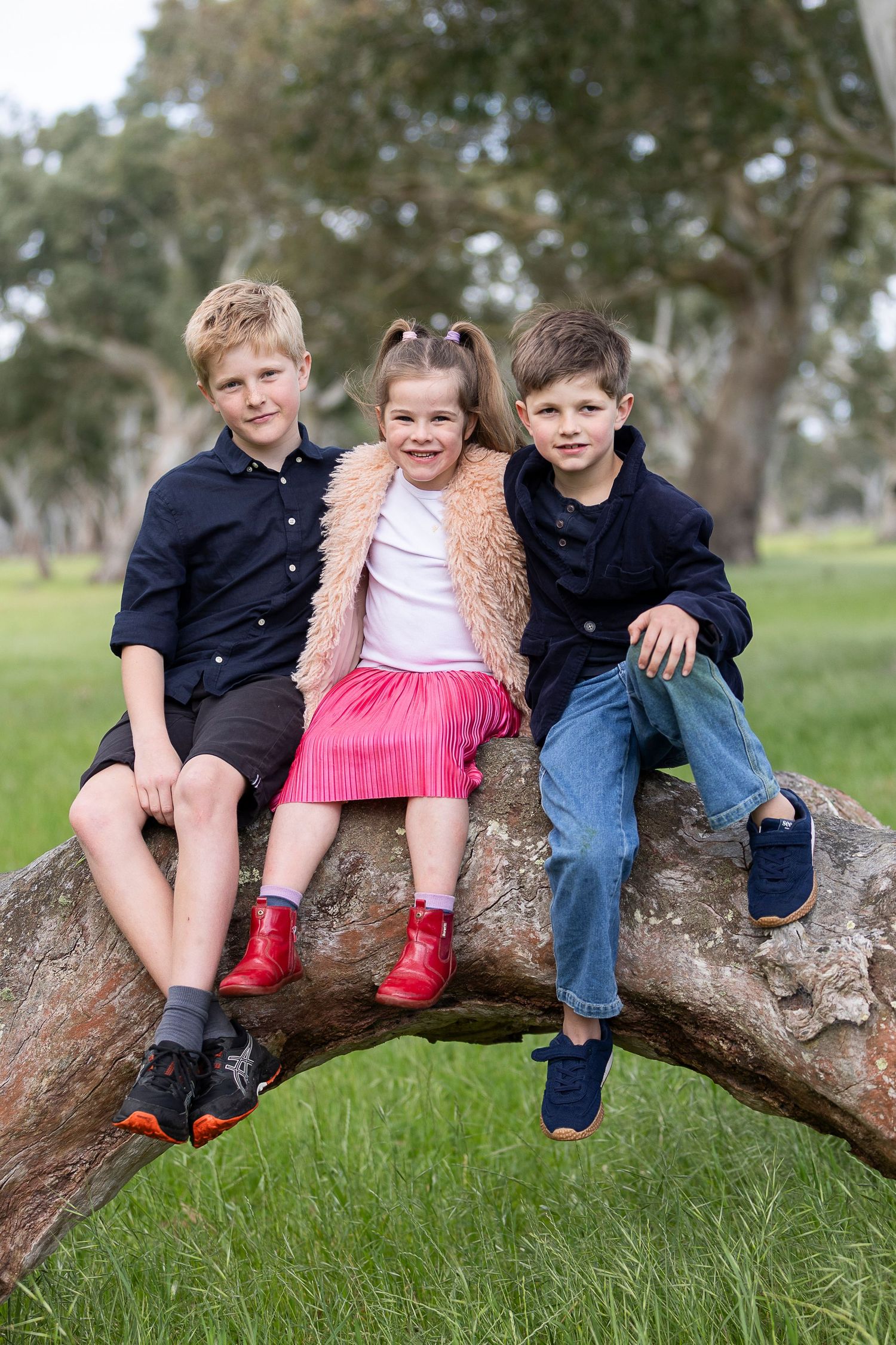 Three children sitting casually on a large tree branch in casual clothing.