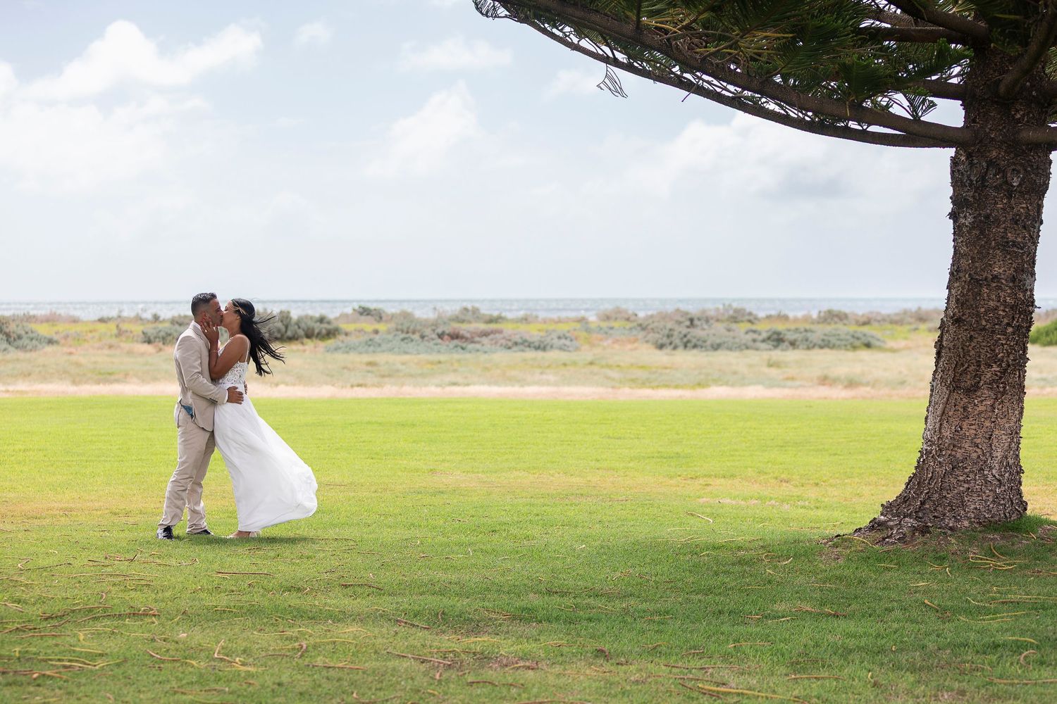 Couple embracing under a tree in a scenic coastal meadow on their wedding day.