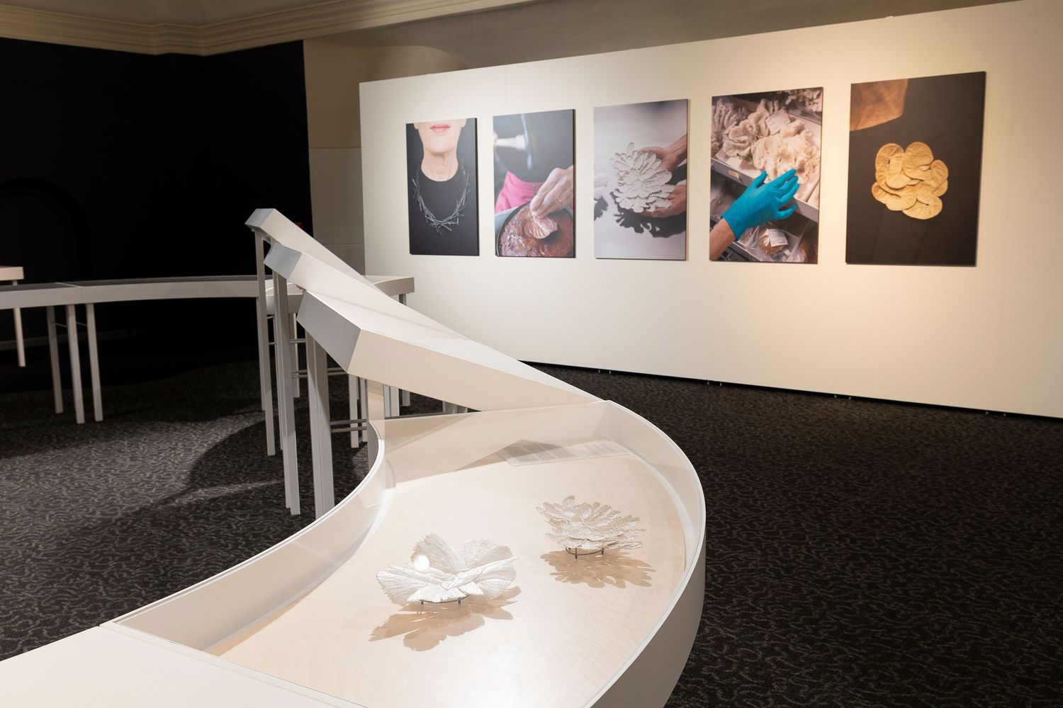 Gallery space with wall-mounted photographs and curved white display platforms.
