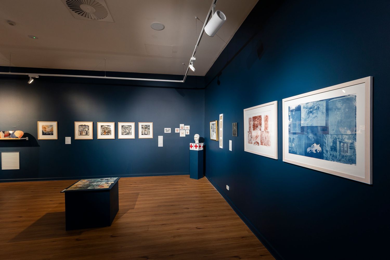 Modern gallery space with dark blue walls featuring a series of framed photographs and artworks.