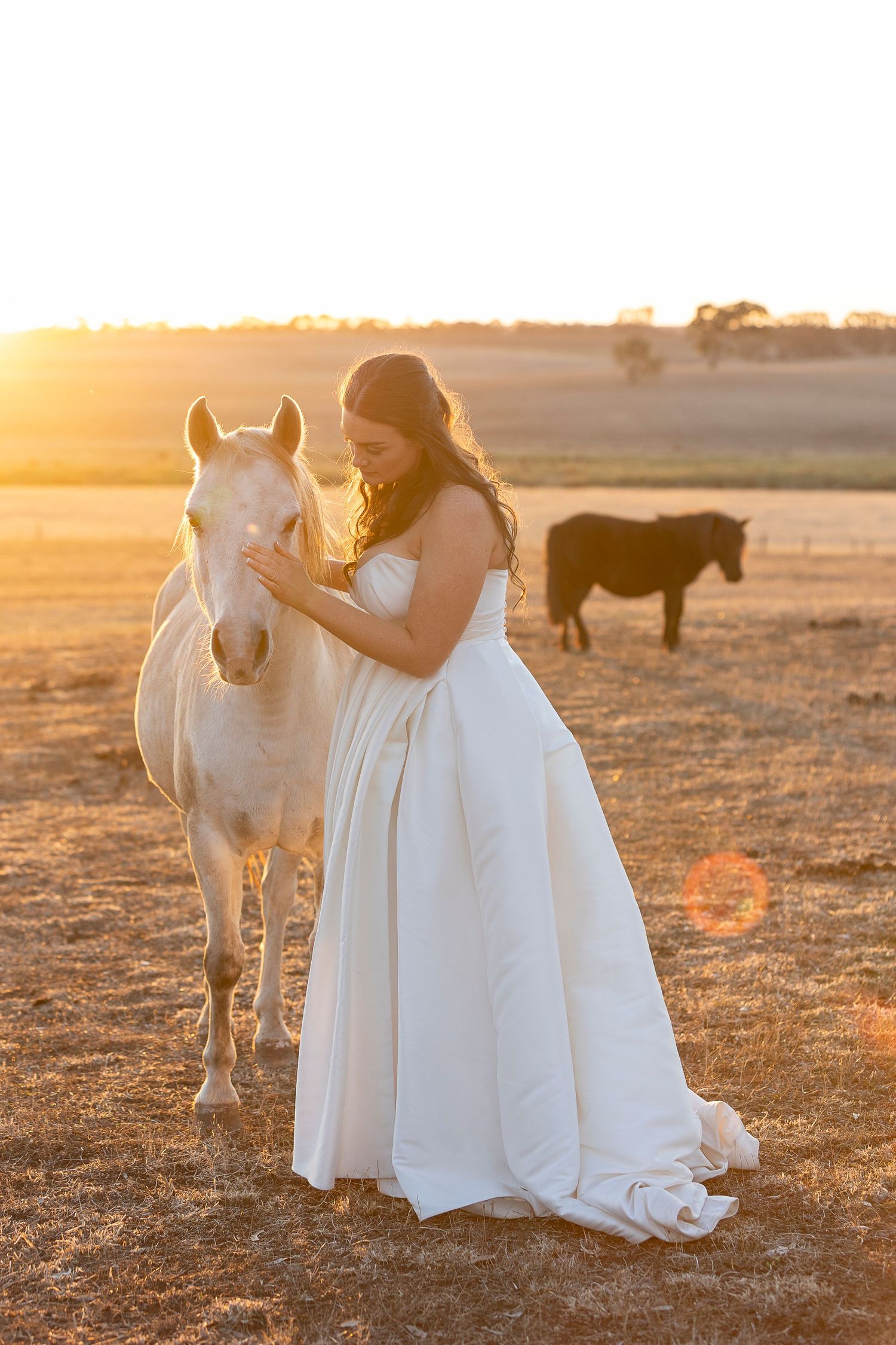 White horses stand near people in formal attire during golden hour photo session.