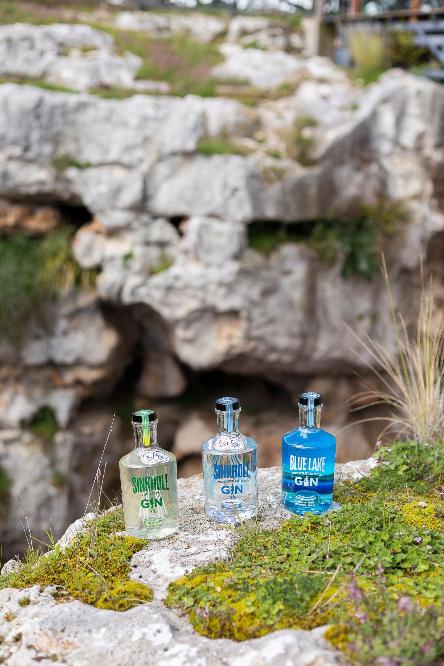Blue and green gin bottles artistically arranged on moss-covered rocks in natural lighting.