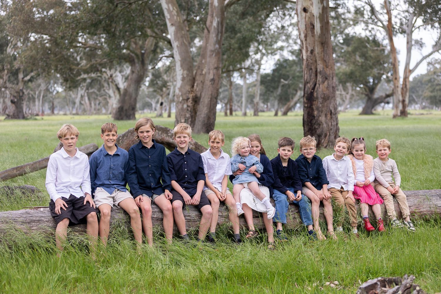Large group of people sitting in row on grassy hill under eucalyptus trees.