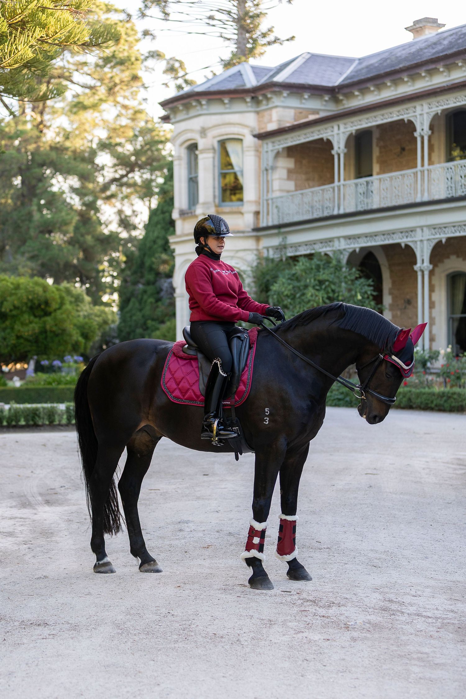 Series of equestrian scenes with black horse in front of historic mansion.