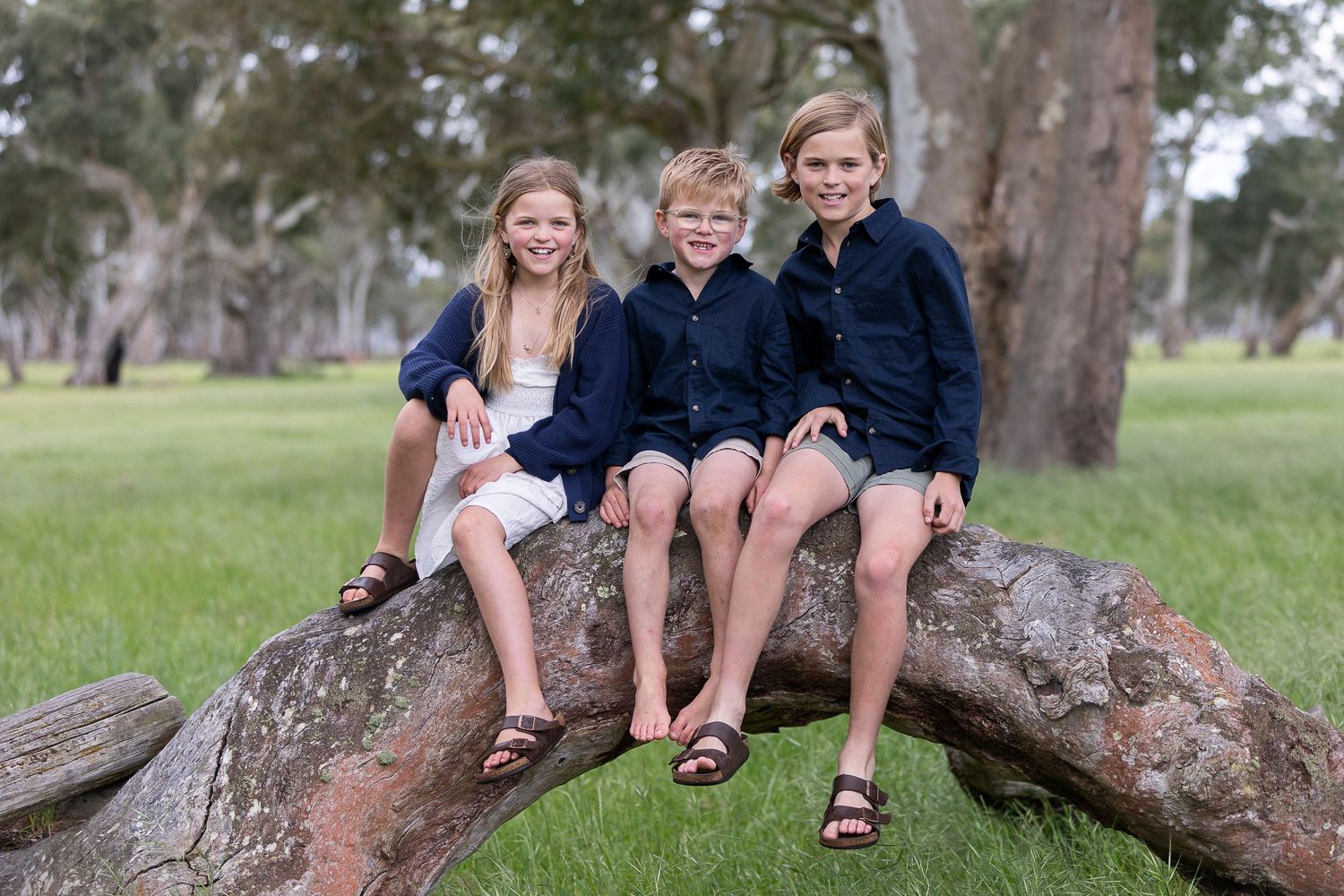 Group sitting casually on large tree branch in outdoor setting.