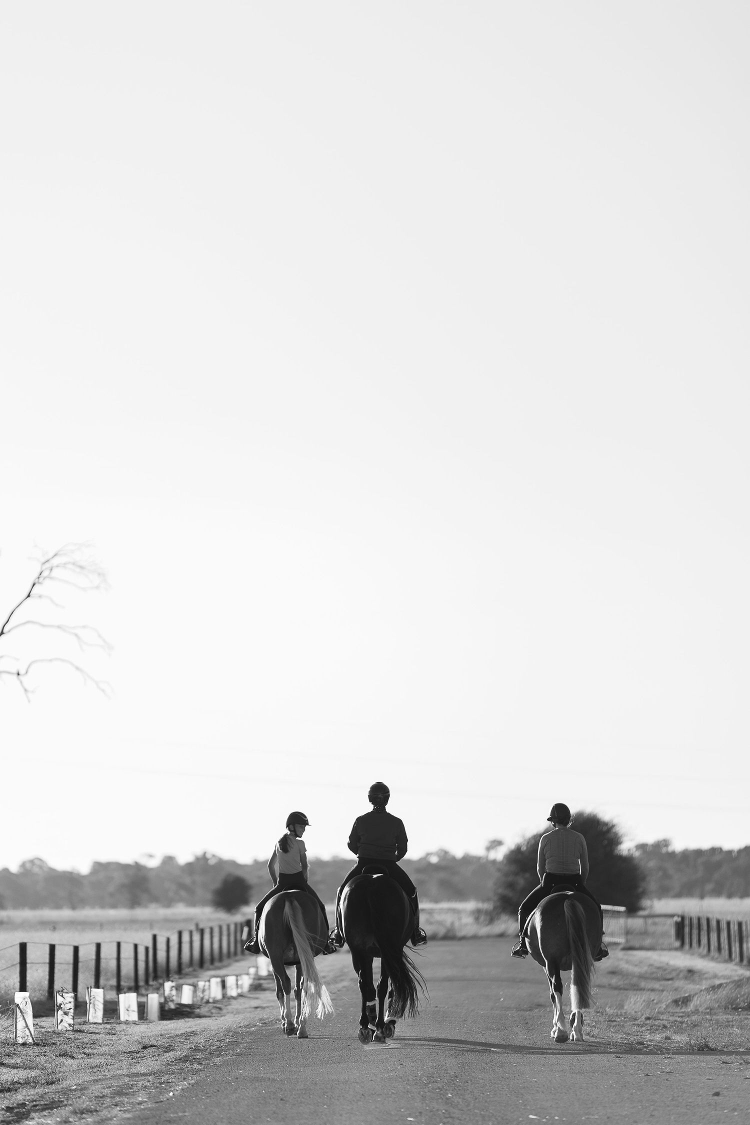 Black and white landscape showing riders and horses in a field with fencing.