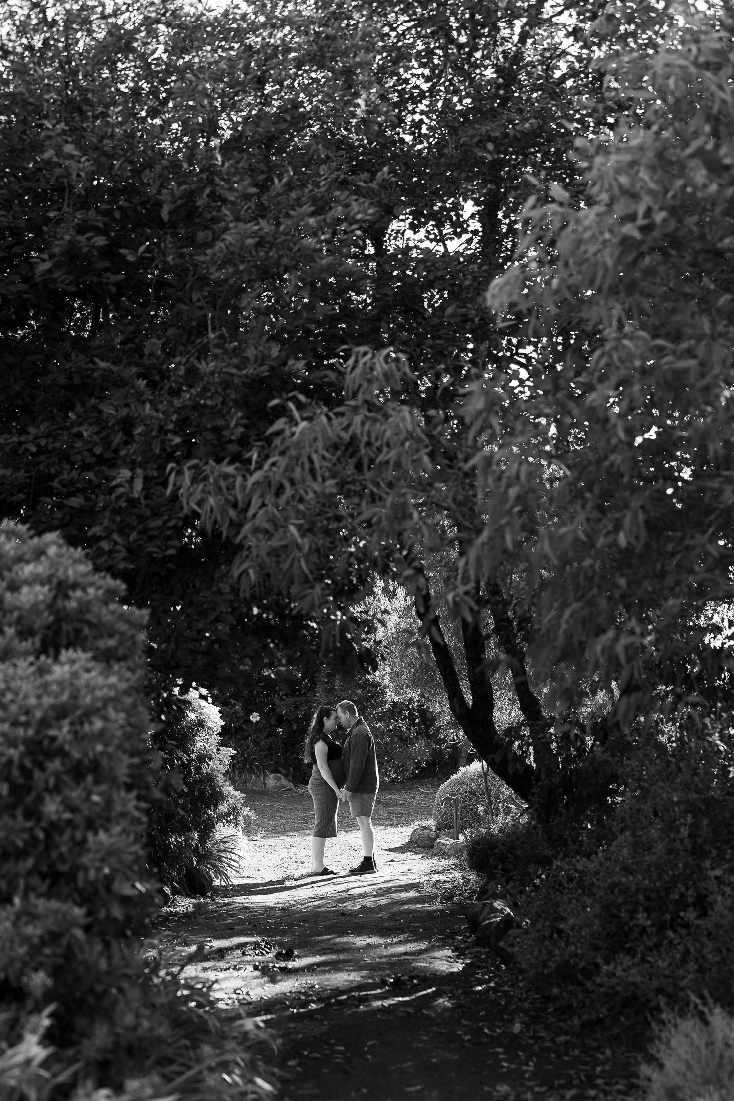 Shaded pathway through trees with dappled sunlight filtering through branches.