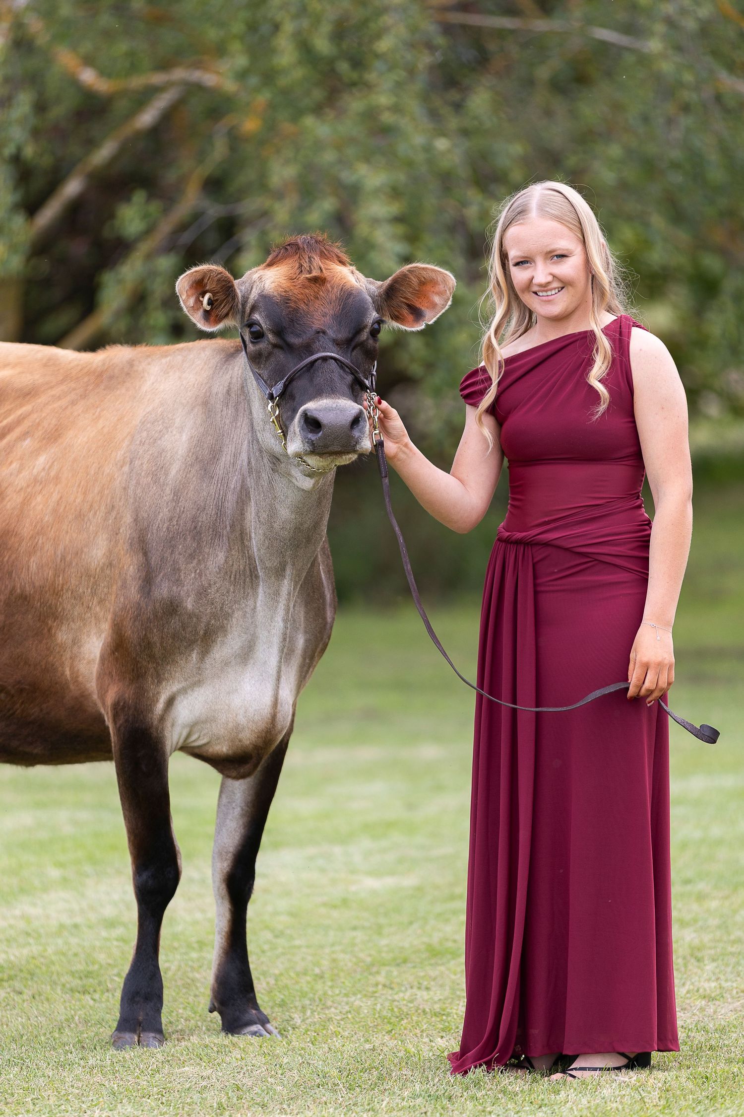 A woman in a burgundy formal dress stands next to a dairy cow on grass.