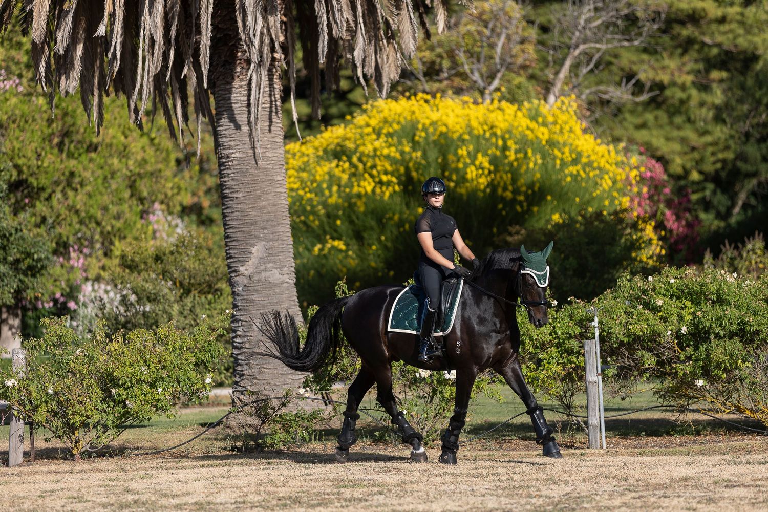 Horse and rider walking past palm trees and yellow wildflowers in a garden setting.
