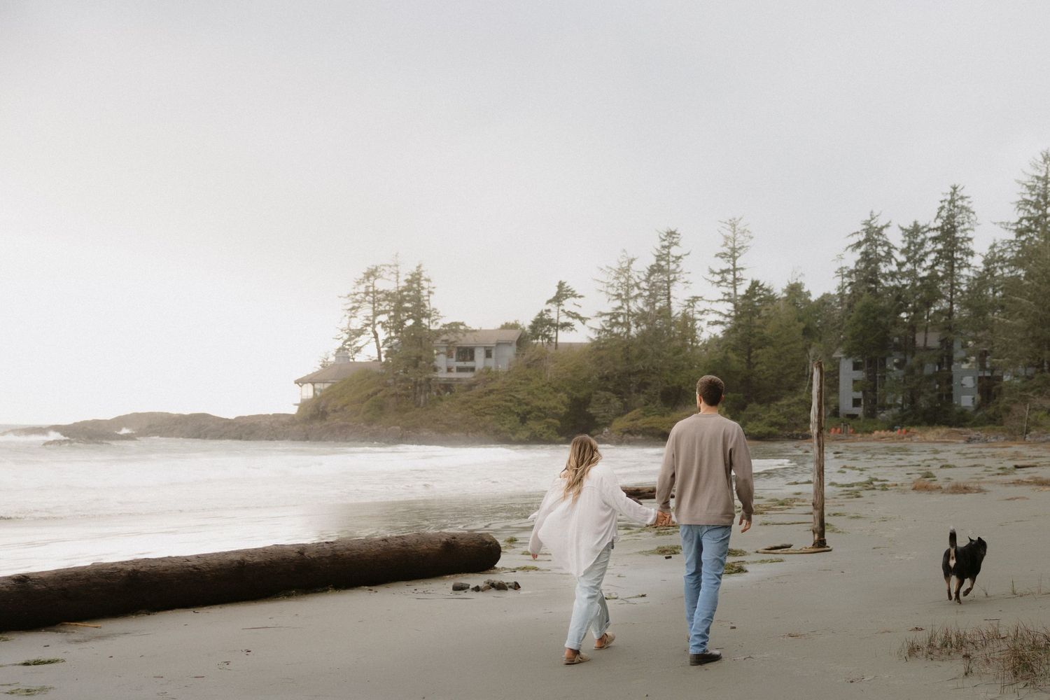 Couple walking with their dog on a misty beach with evergreen trees and house in background.