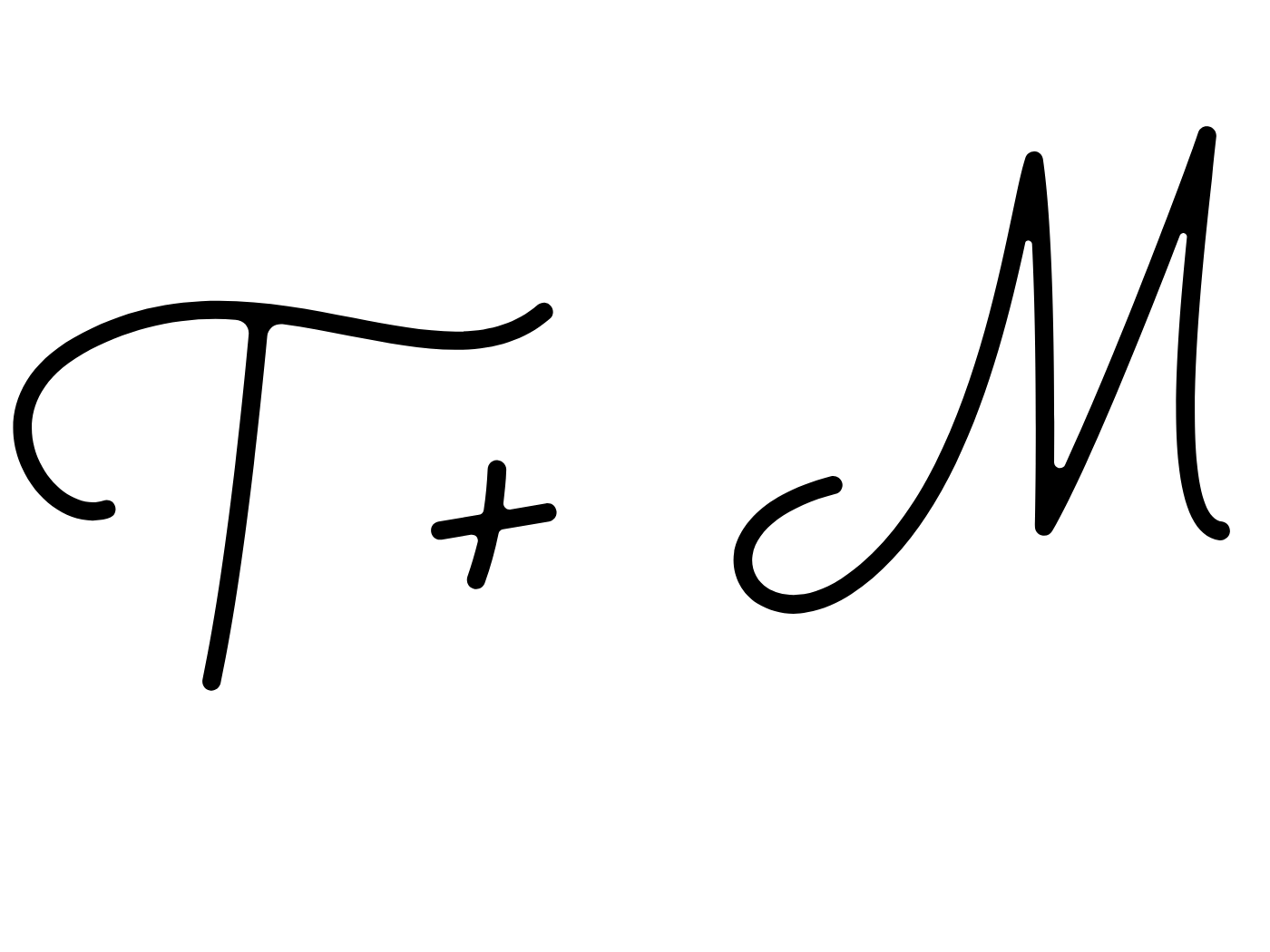 Stylized black monogram with T plus M in cursive lettering