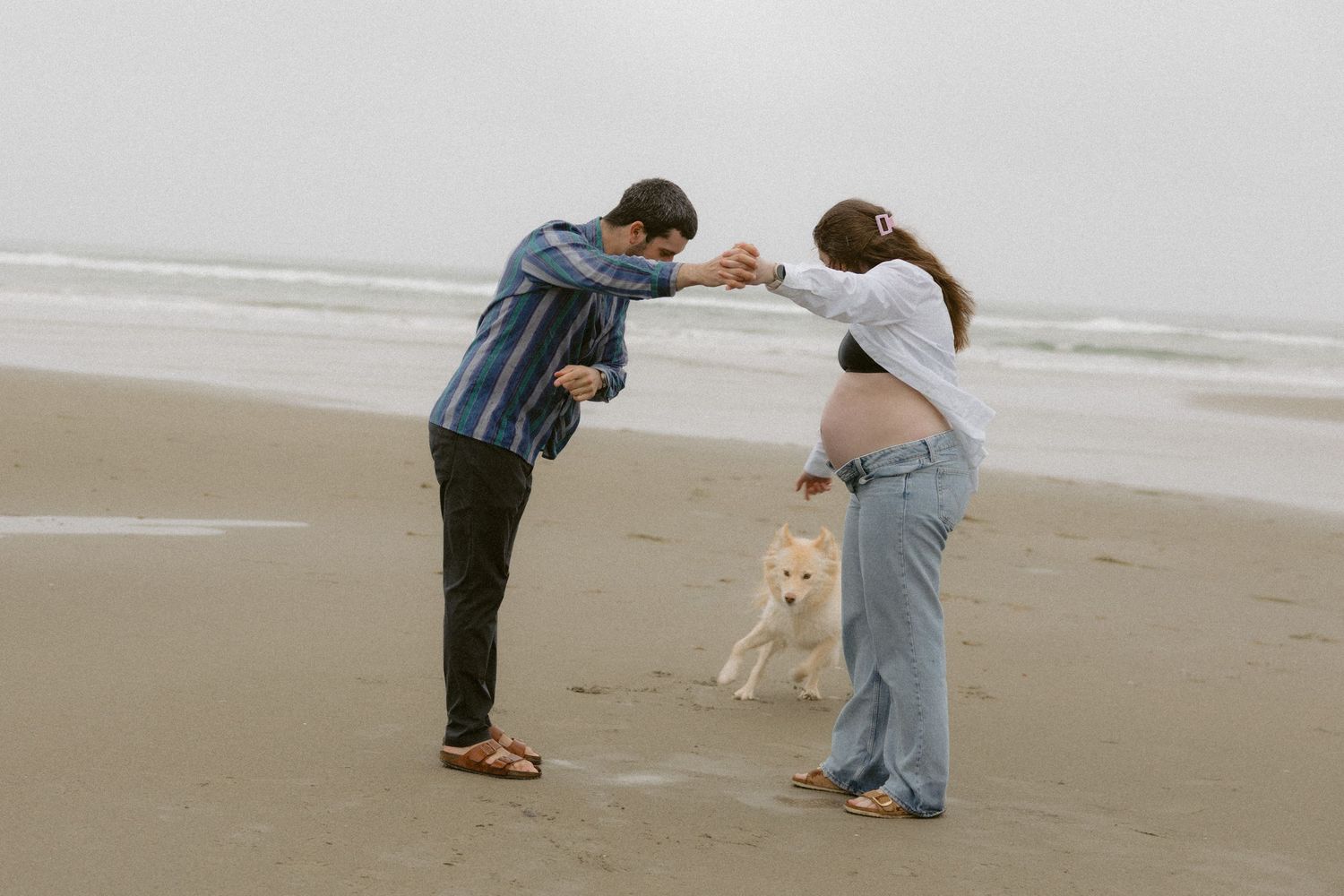 Two people and their dog enjoy a playful moment on a foggy beach.