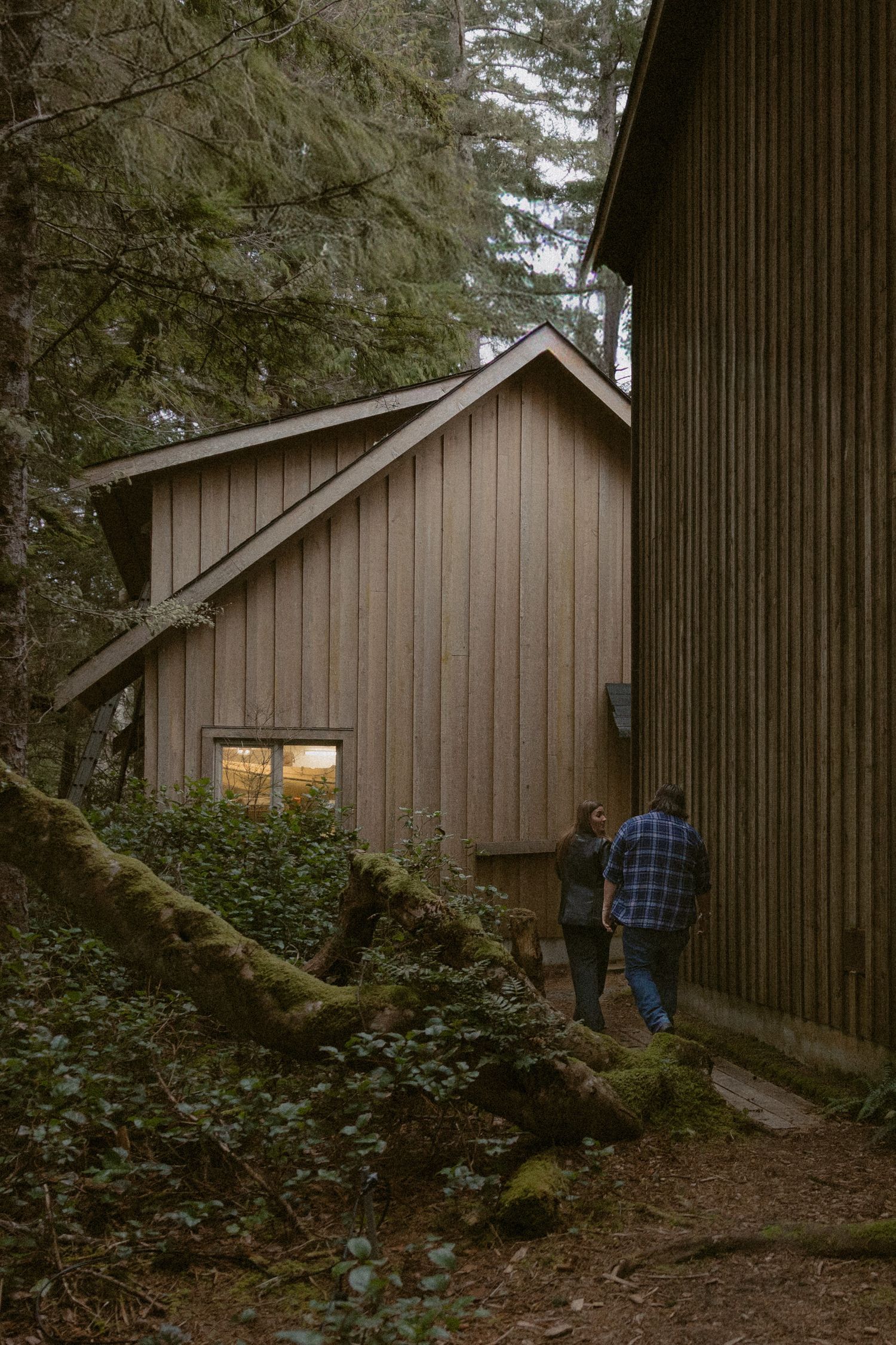 A wooden cabin nestled among tall evergreen trees in the Pacific Northwest.