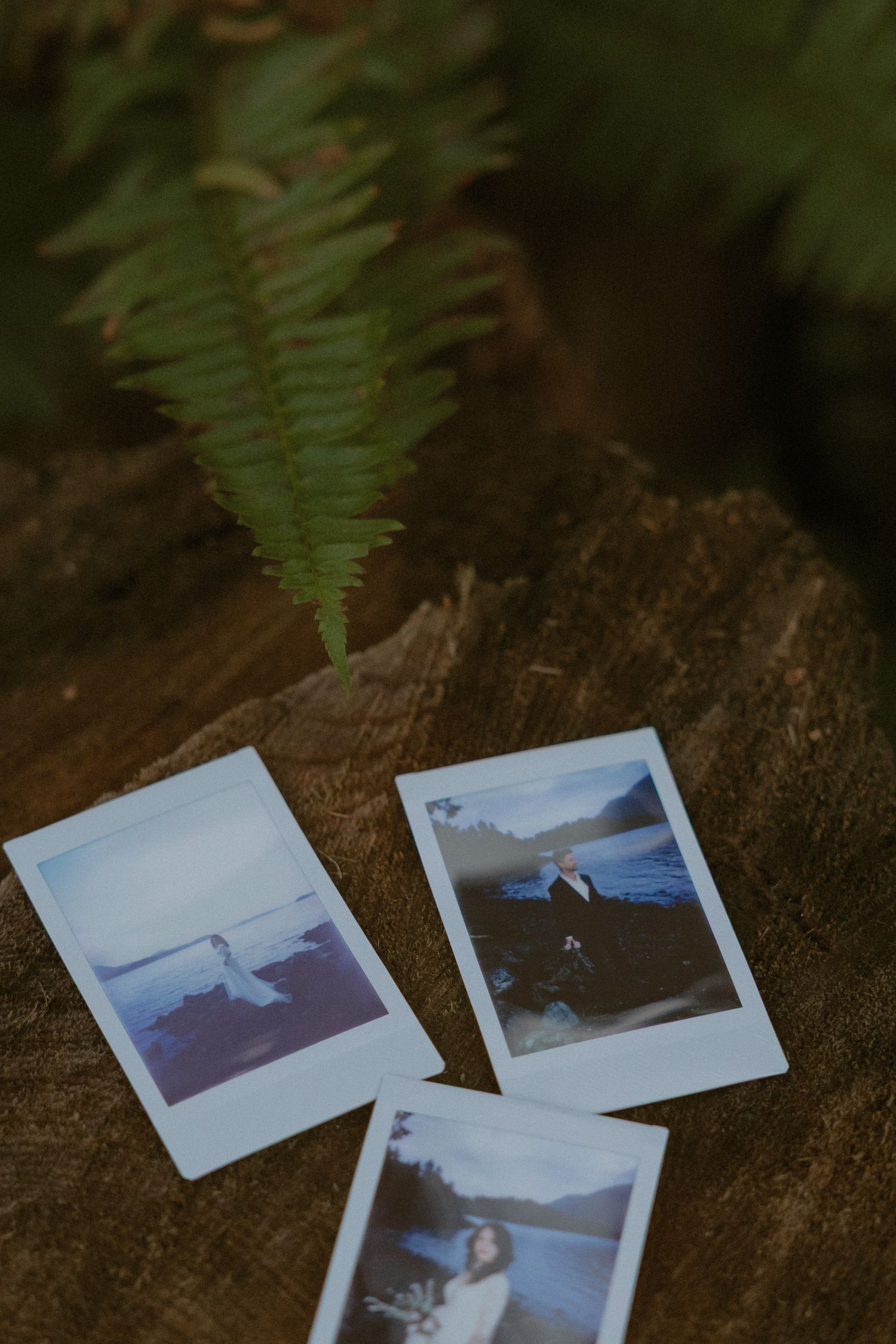 Vintage-style polaroid photographs laid out on a rustic wooden surface.