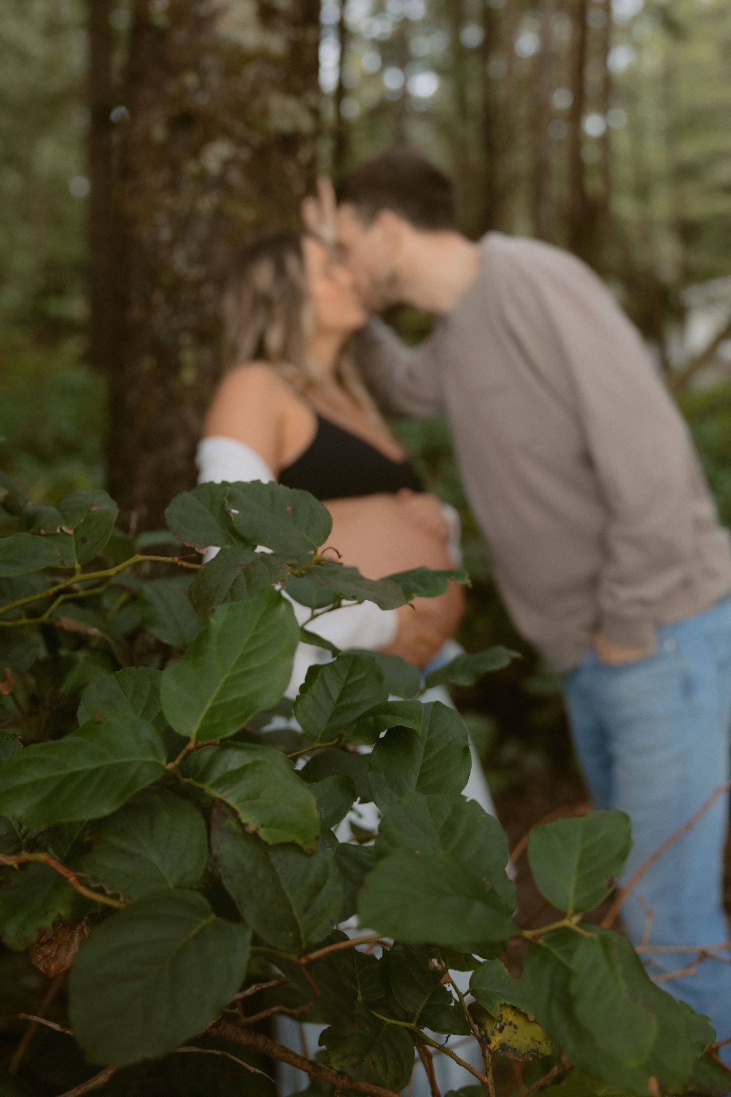 Green foliage in focus with blurred figures in the background.