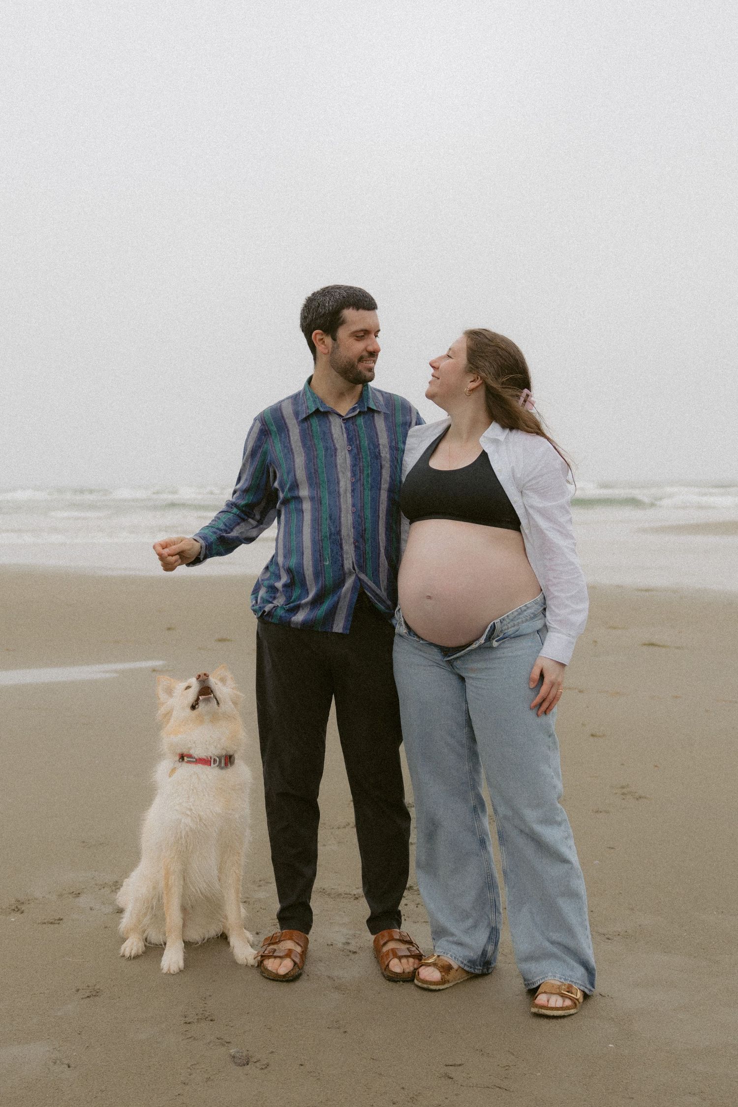 Expectant couple poses with their white dog on a misty beach.