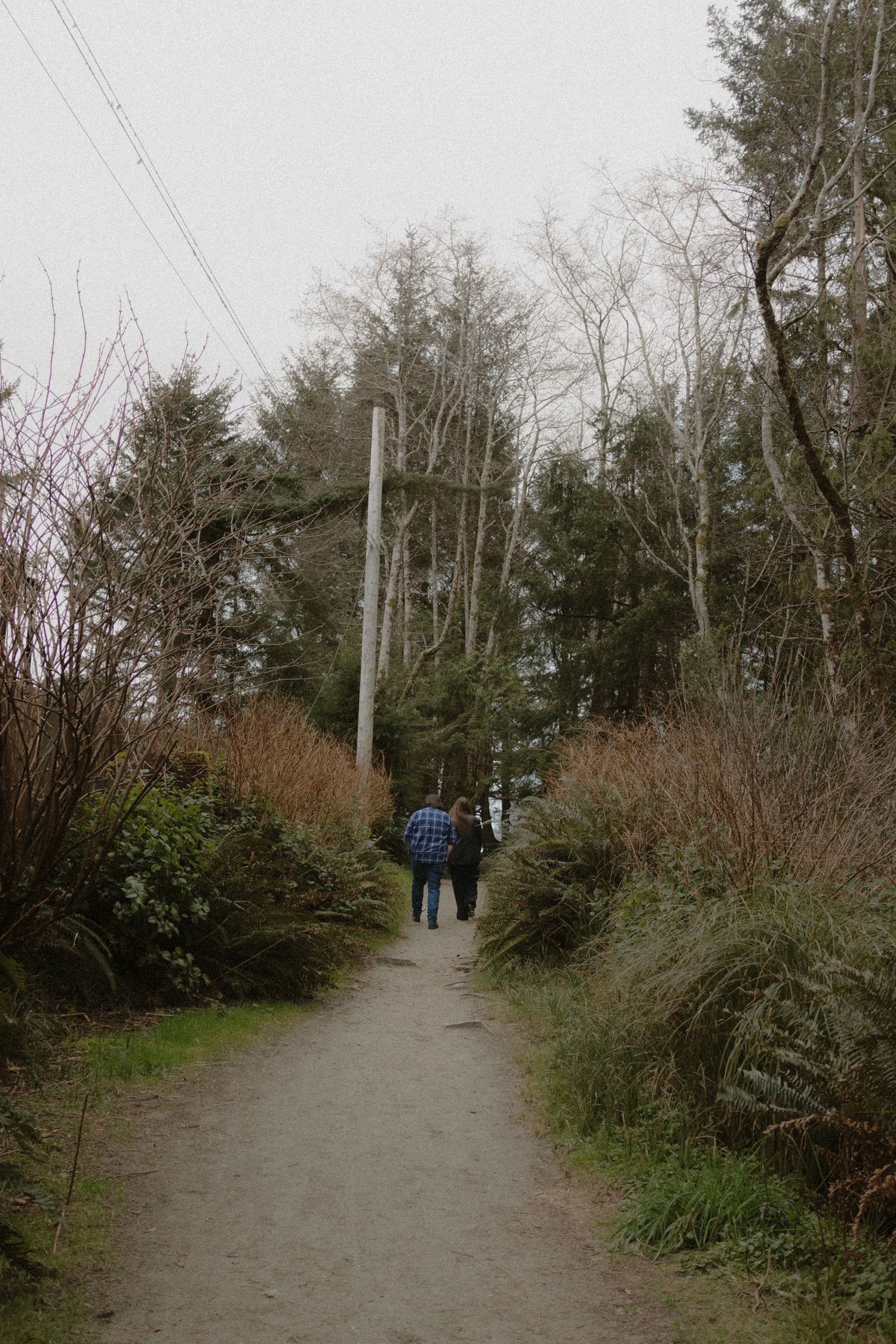 A winding gravel path through winter trees with utility poles along the side.