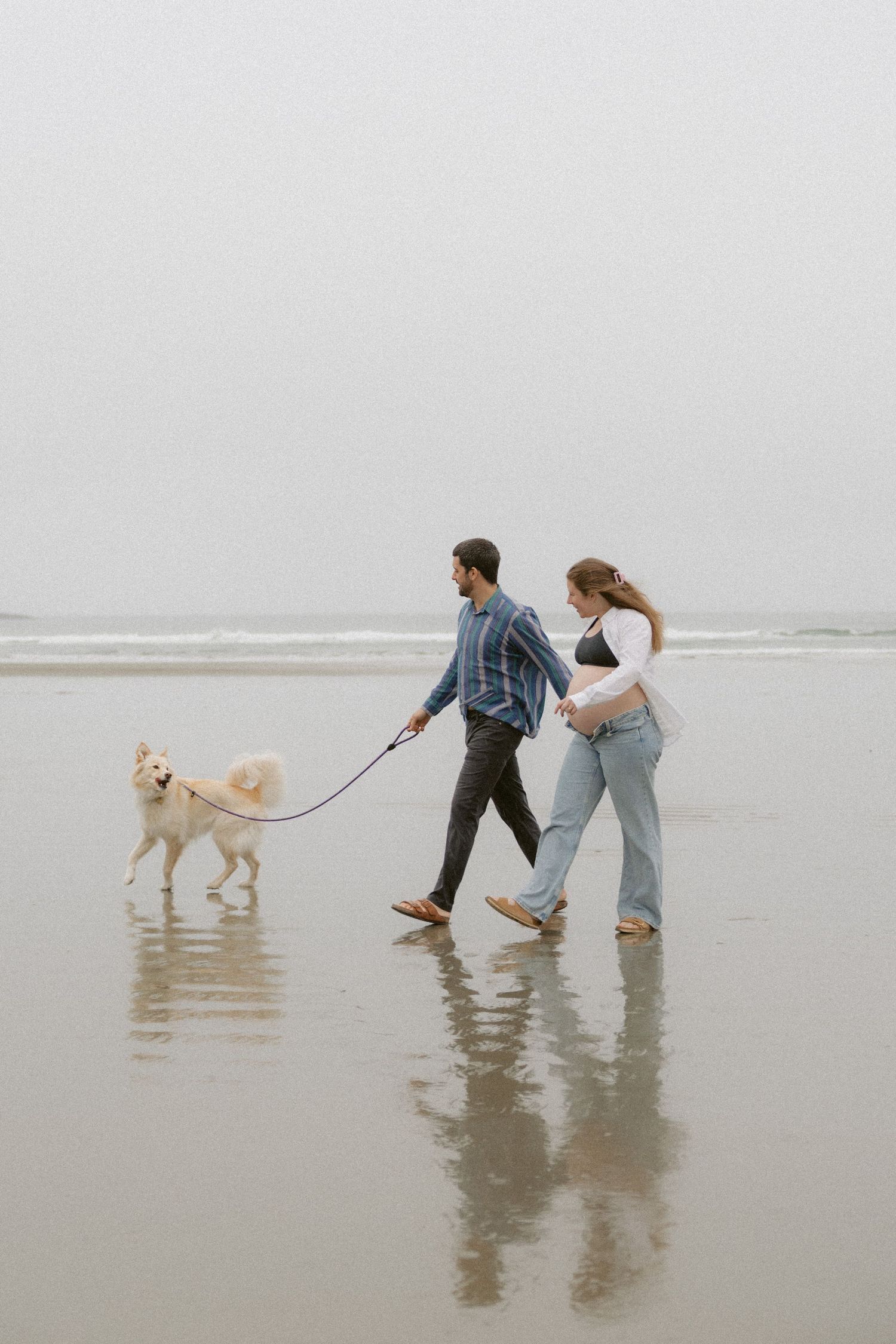 A couple and their dog walk along a misty beach shoreline, splashing in the shallow water.