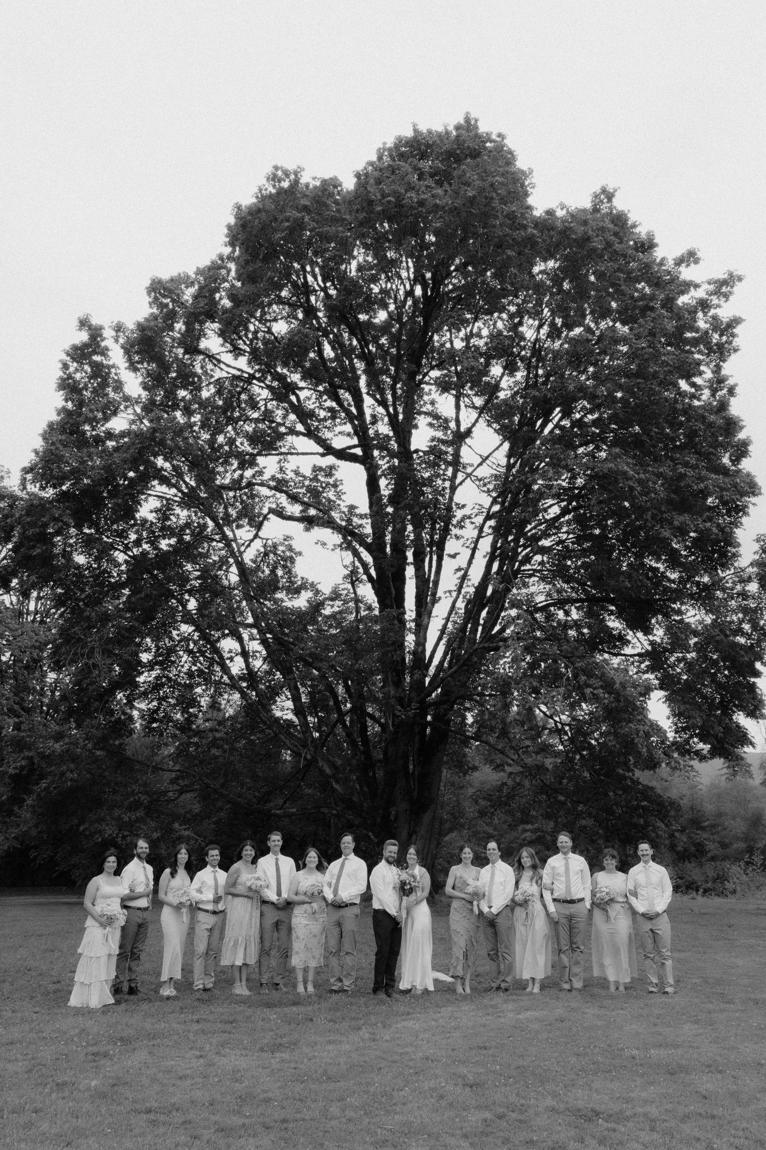 Black and white wedding party photo with large group standing before a grand tree on a grassy lawn.