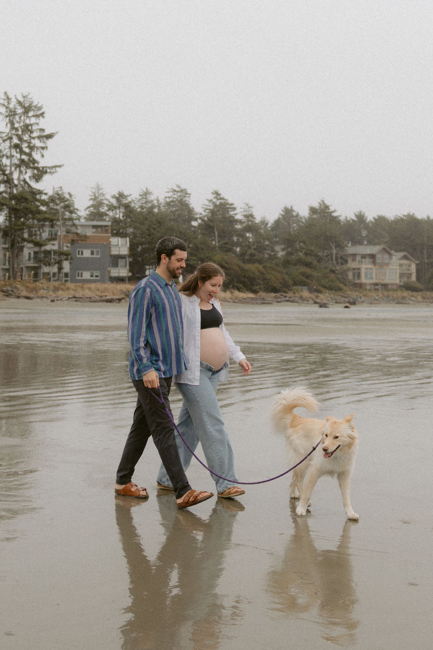 A couple walks their golden retriever along a misty beach shoreline.