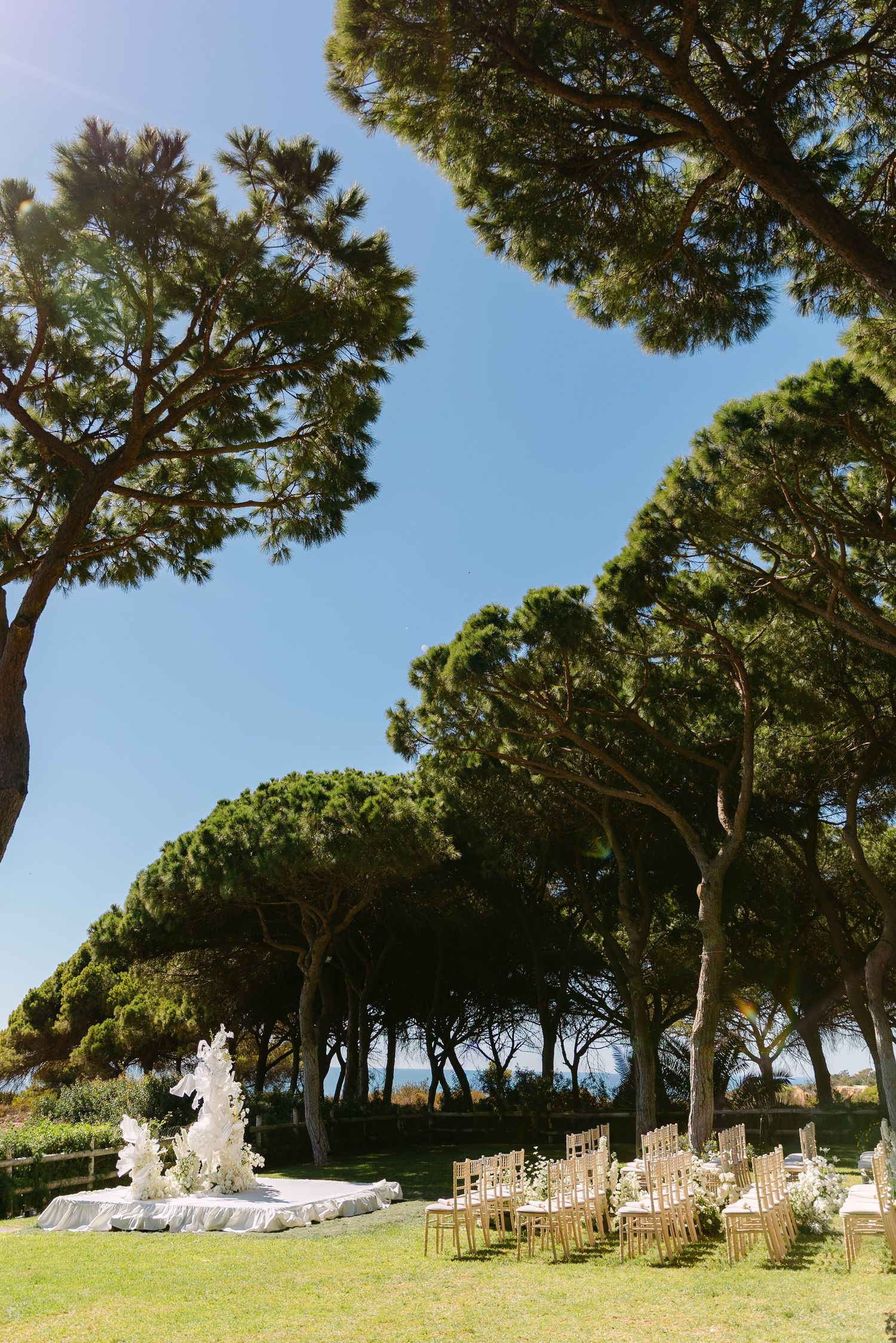 An outdoor wedding venue setup with chairs under tall trees against a blue sky.