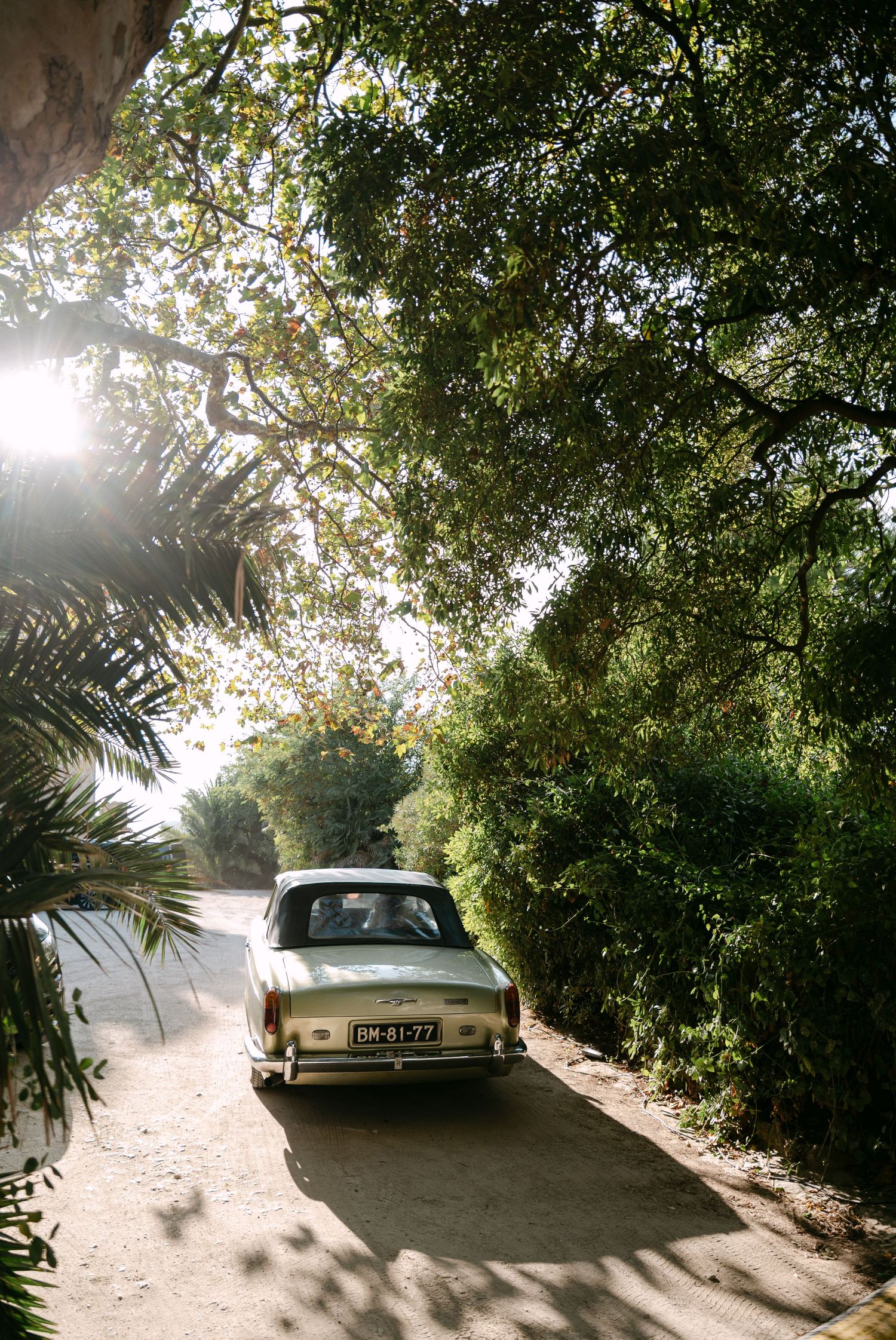 Vintage car parked under lush green trees on a sunlit driveway.