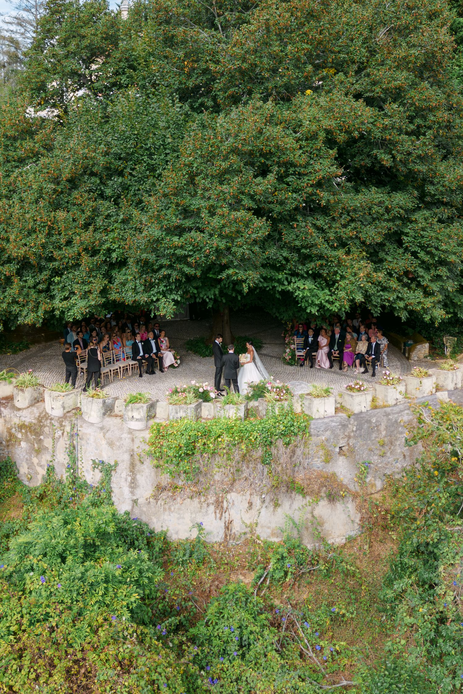 Wedding guests walking along stone wall path surrounded by lush green trees.