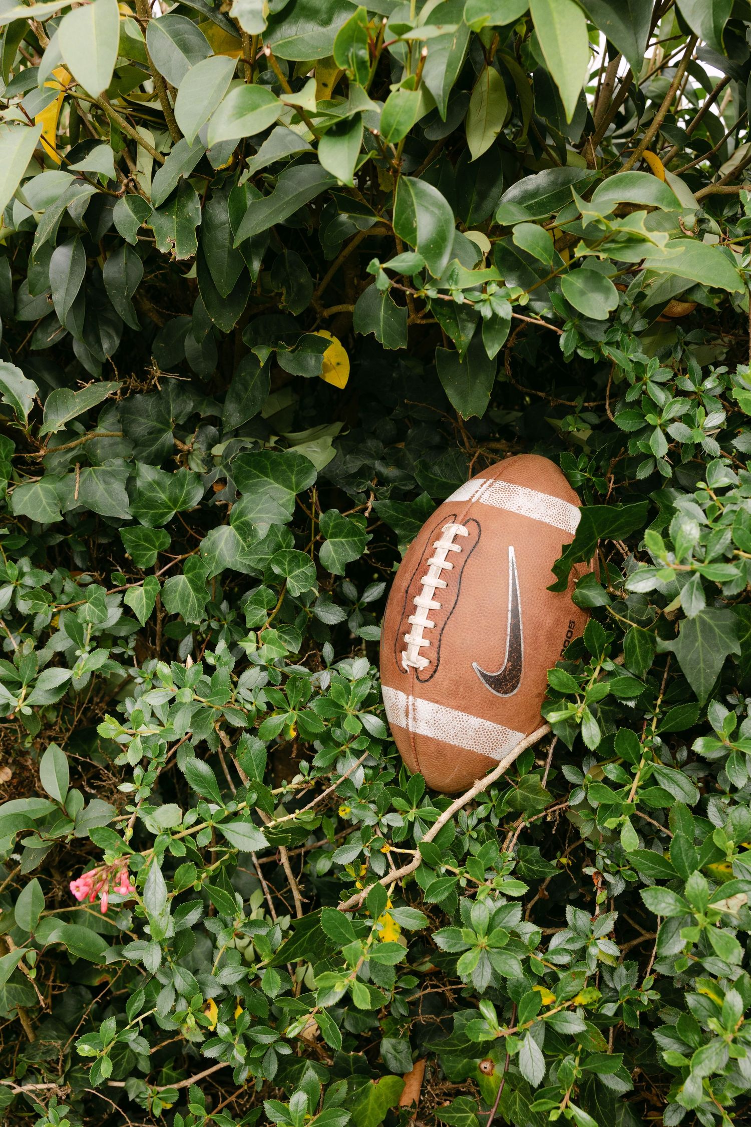 Football hidden among green foliage creates playful detail shot.