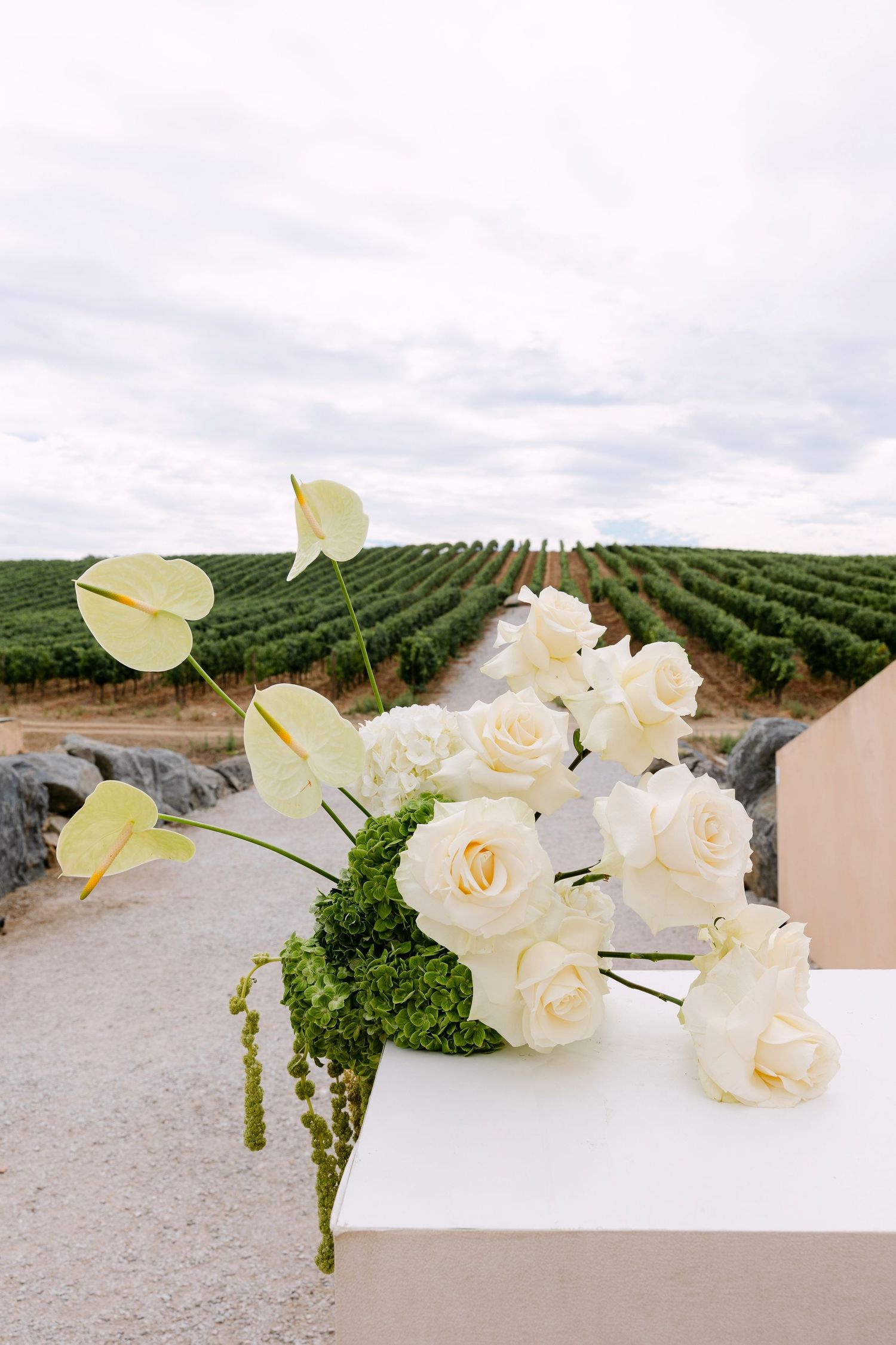White roses and architectural elements arranged against a vineyard landscape backdrop.
