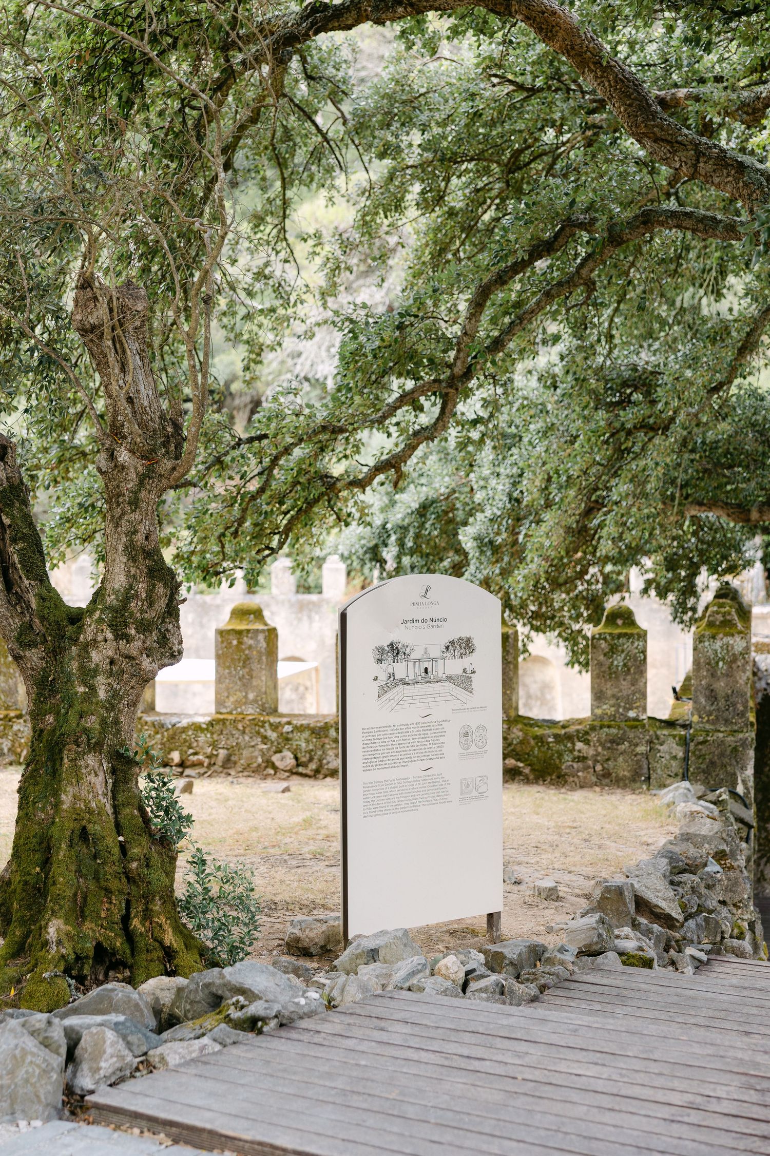 Stone pathway under large oak trees with white signage.