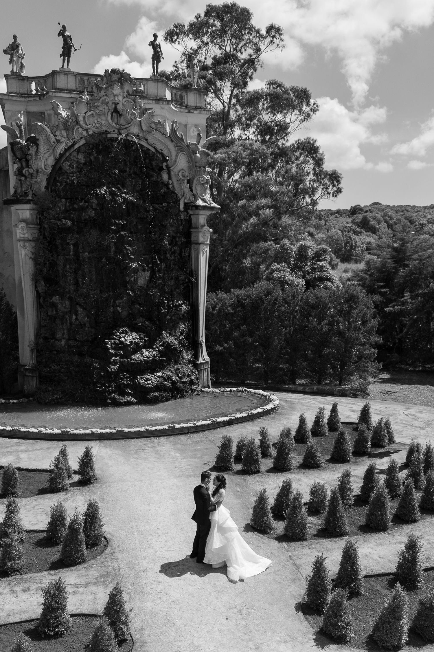 Black and white wedding photo with conical topiaries creating dramatic garden path.