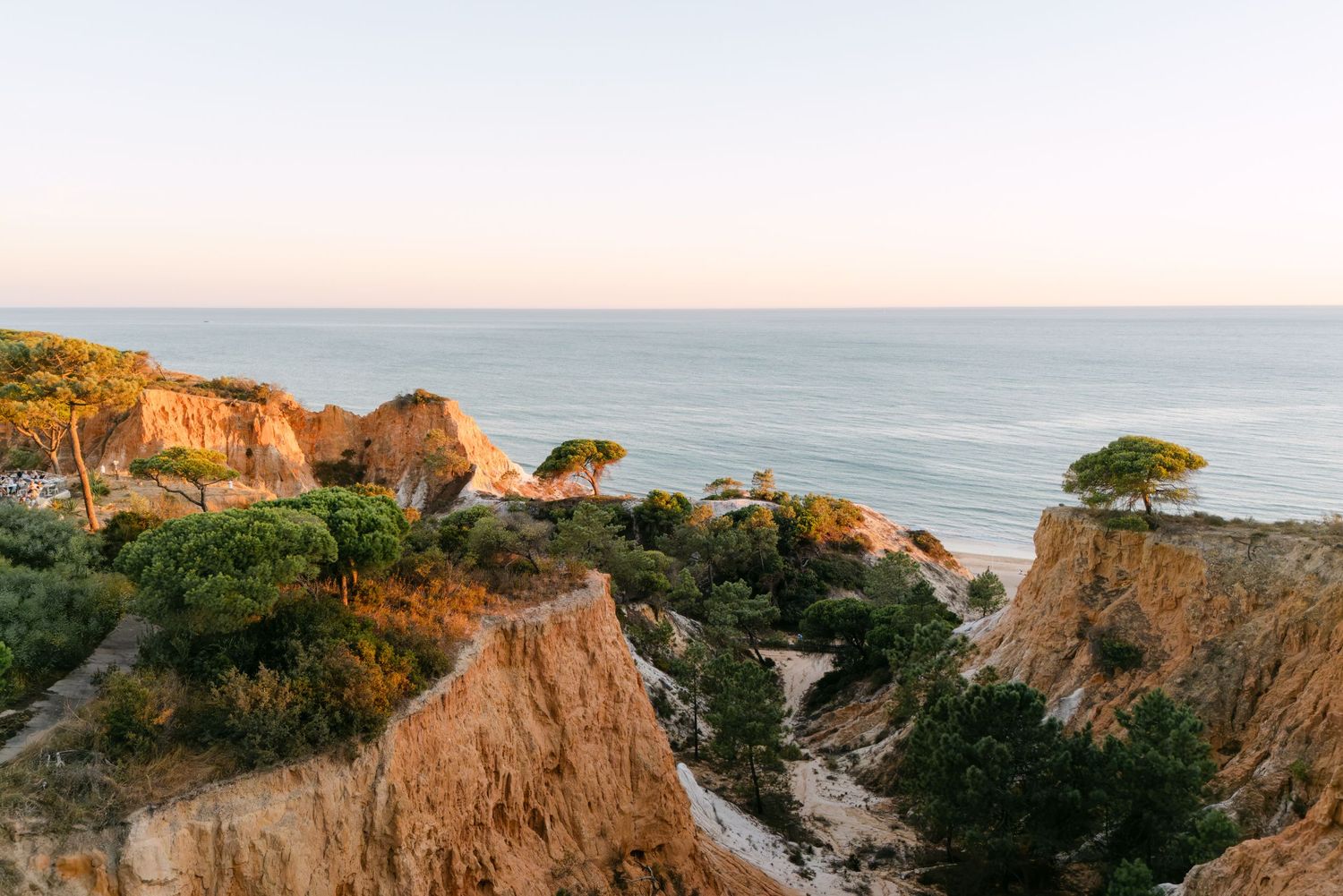 Panoramic view of a coastal cliff landscape with ocean and trees at sunset.